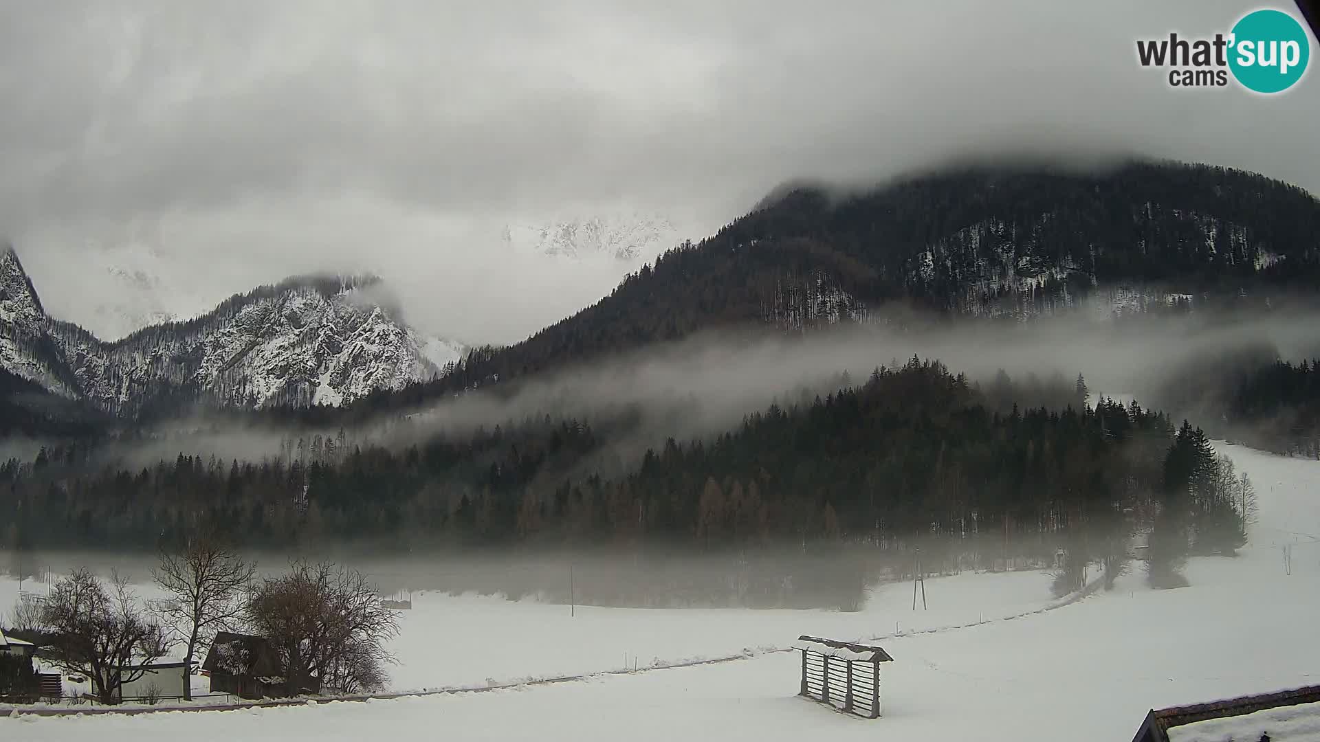 Gozd Martuljek – Špikova skupina