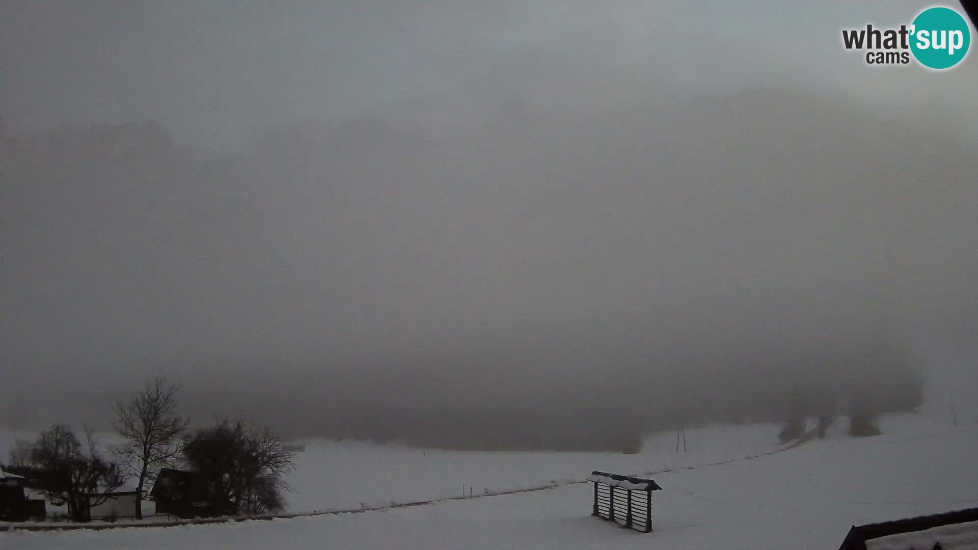 Gozd Martuljek – Špik Mountain Group