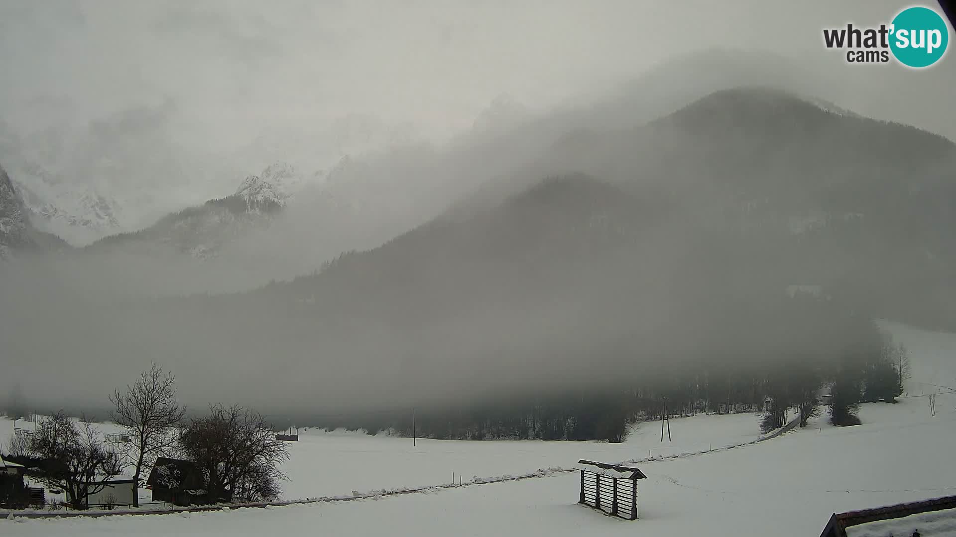 Gozd Martuljek – Špik Mountain Group