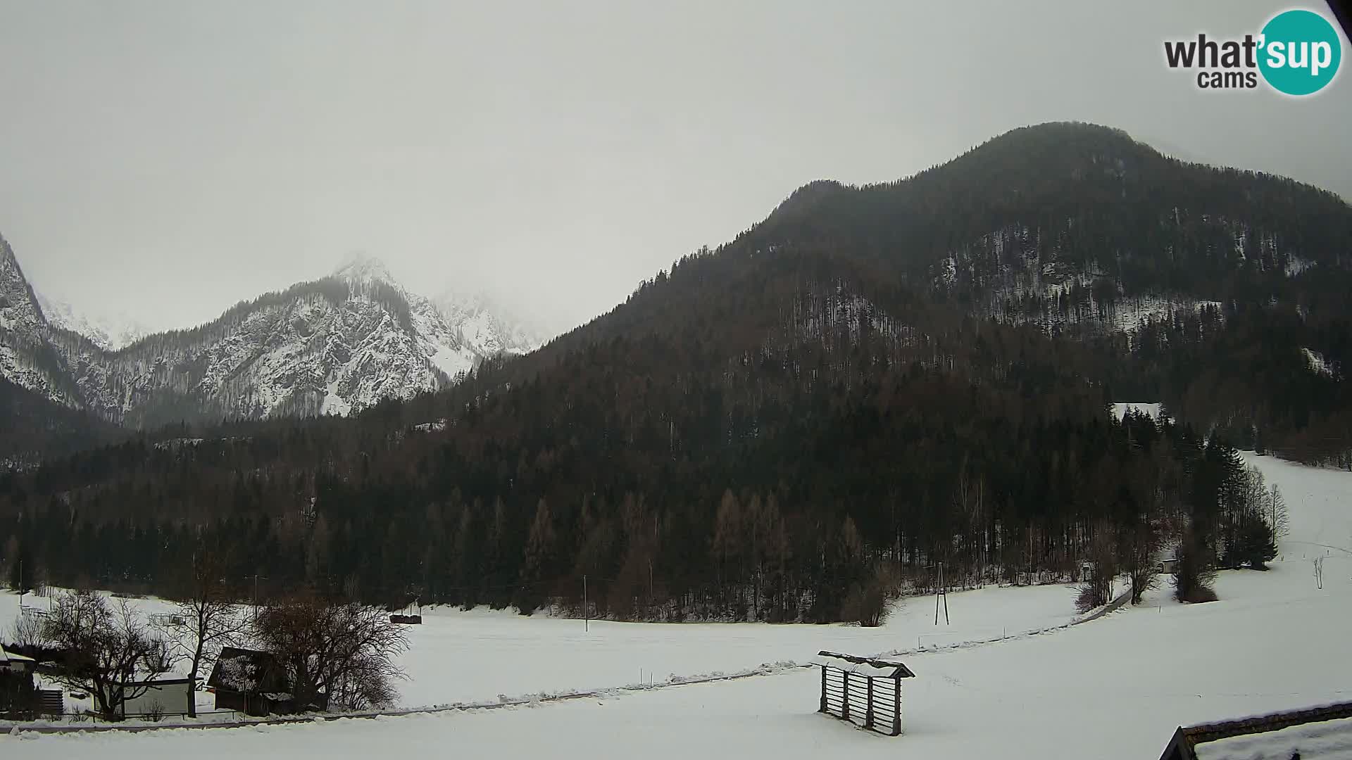 Gozd Martuljek – Špik-Gruppe