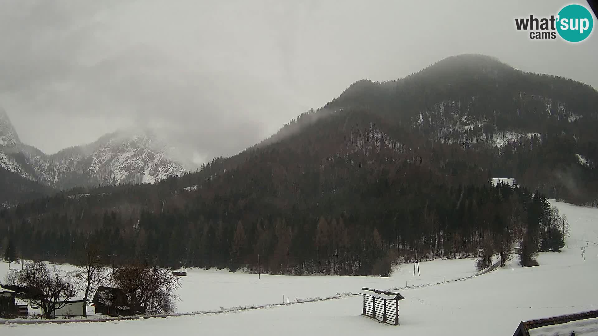 Gozd Martuljek – Špik Mountain Group