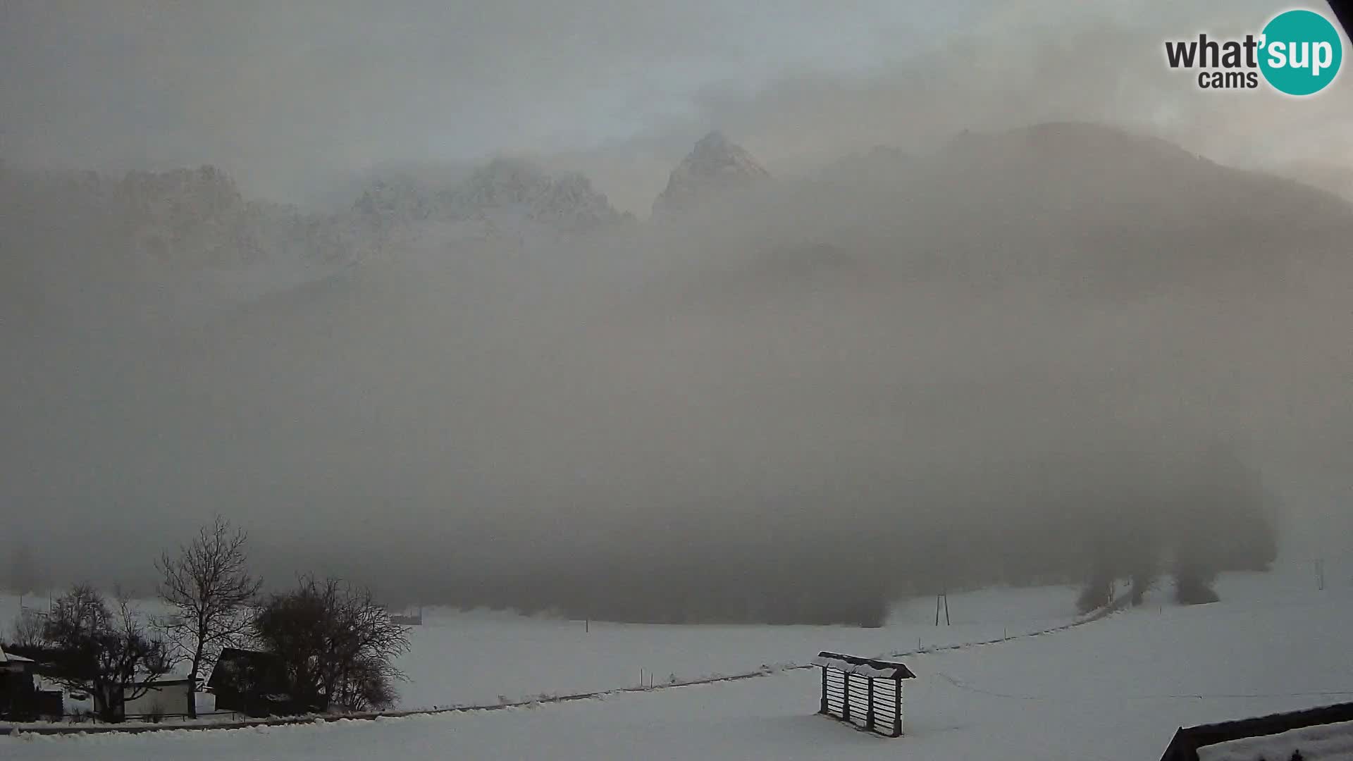 Gozd Martuljek – Špik Mountain Group