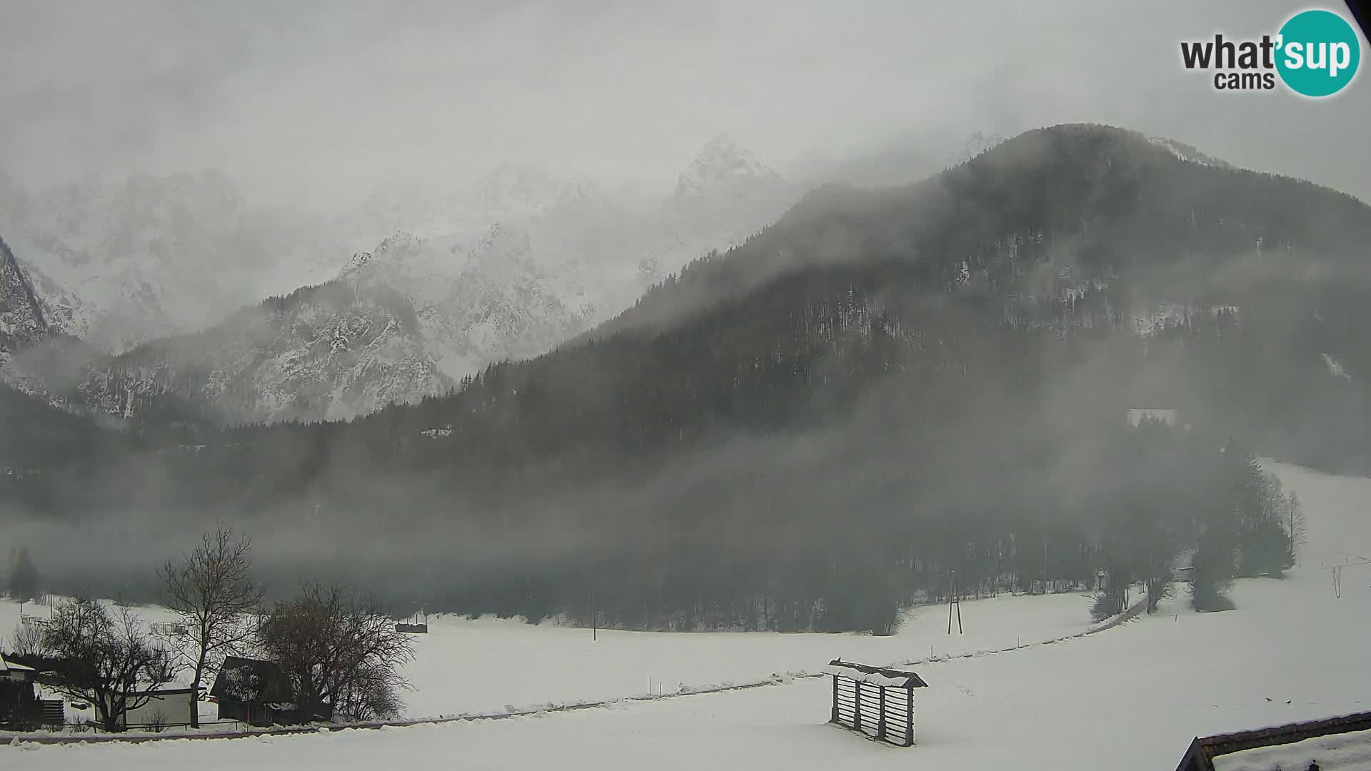 Gozd Martuljek – Špik Mountain Group