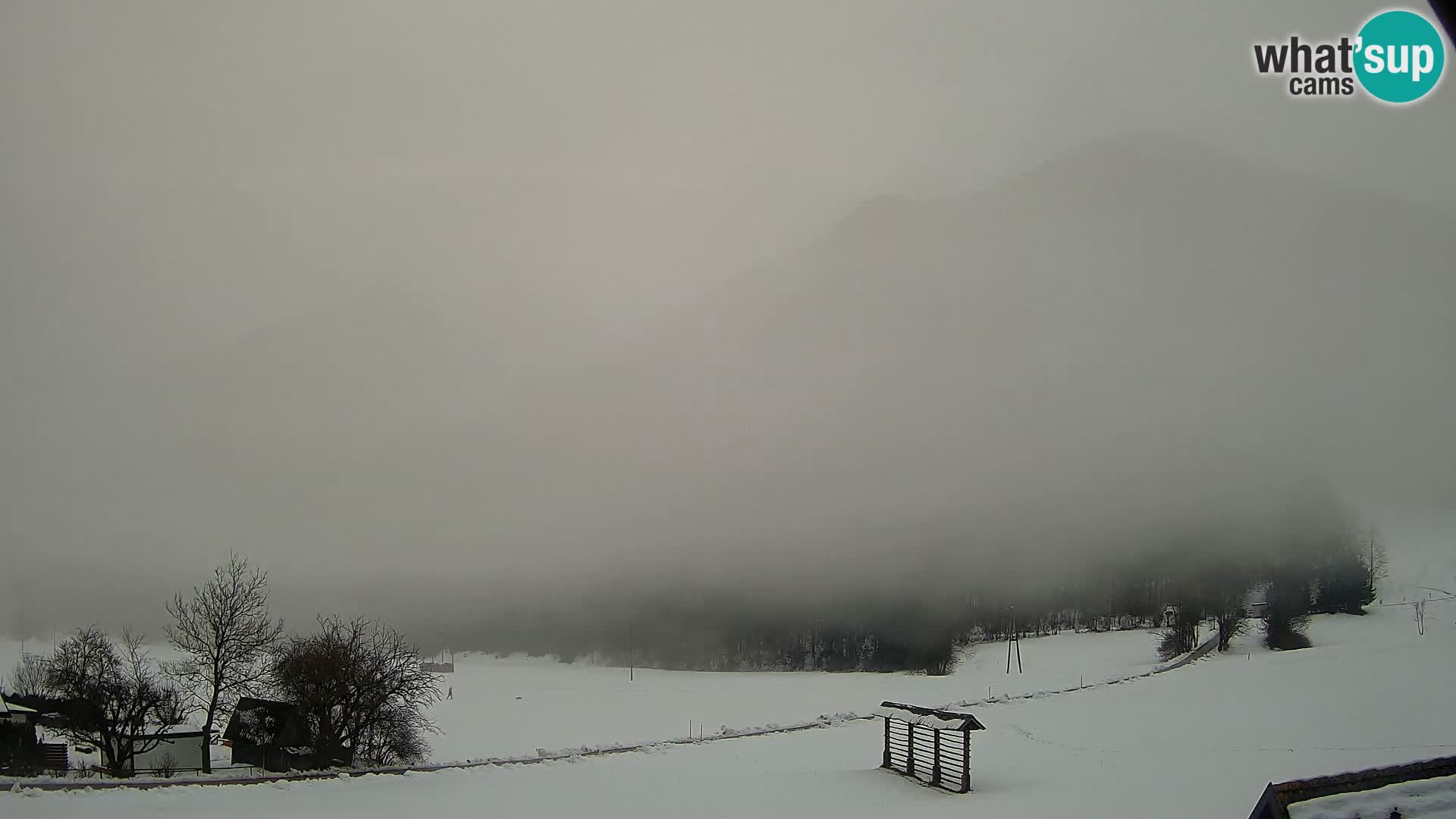 Gozd Martuljek – Špik Mountain Group