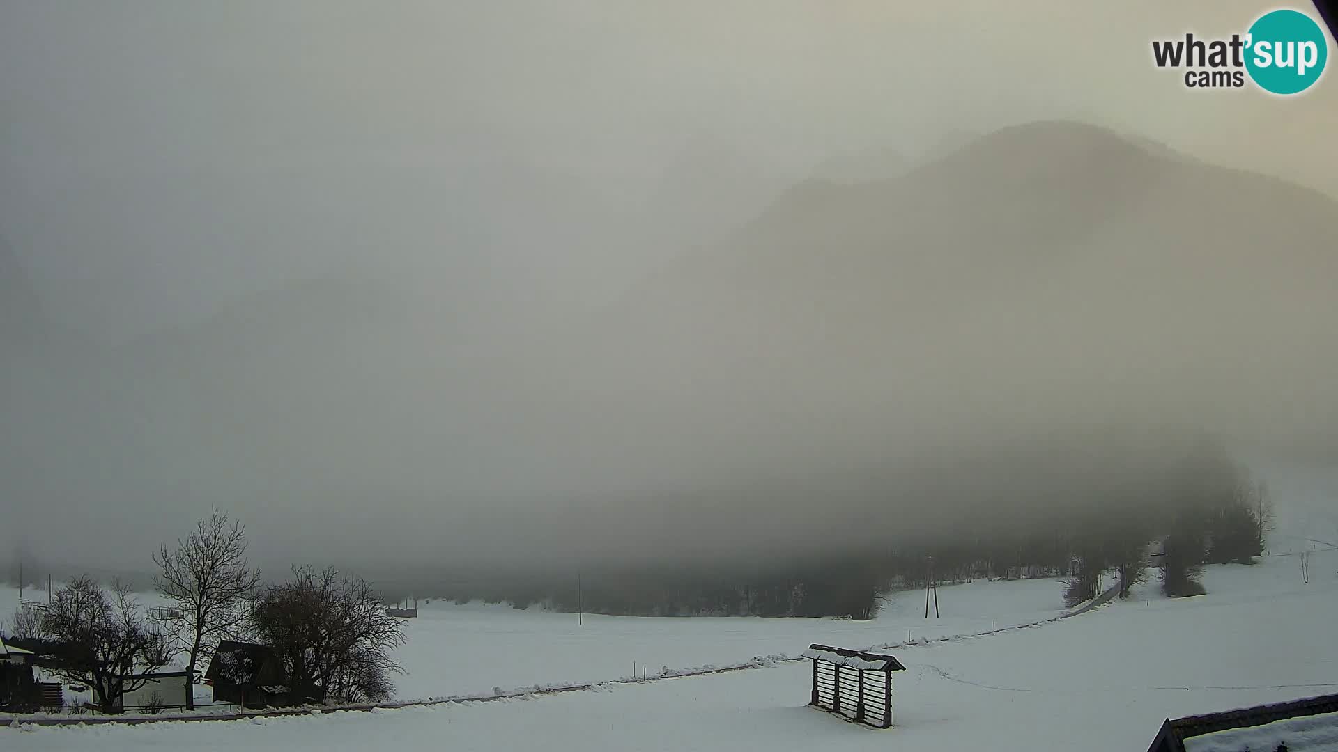 Gozd Martuljek – Špik Mountain Group