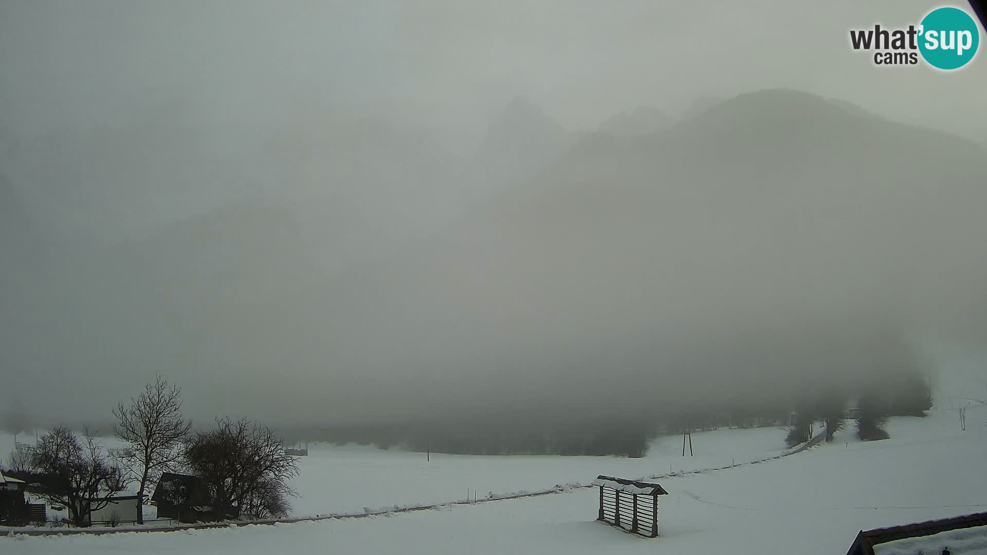 Gozd Martuljek – Špik Mountain Group