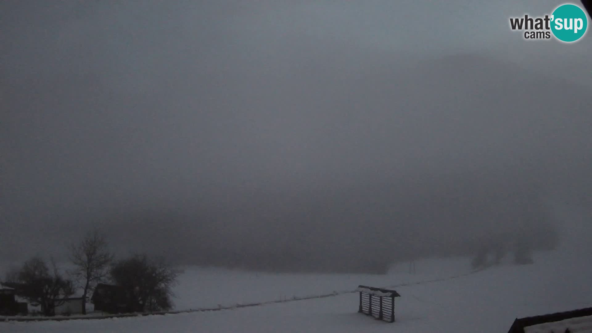 Gozd Martuljek – Špik Mountain Group