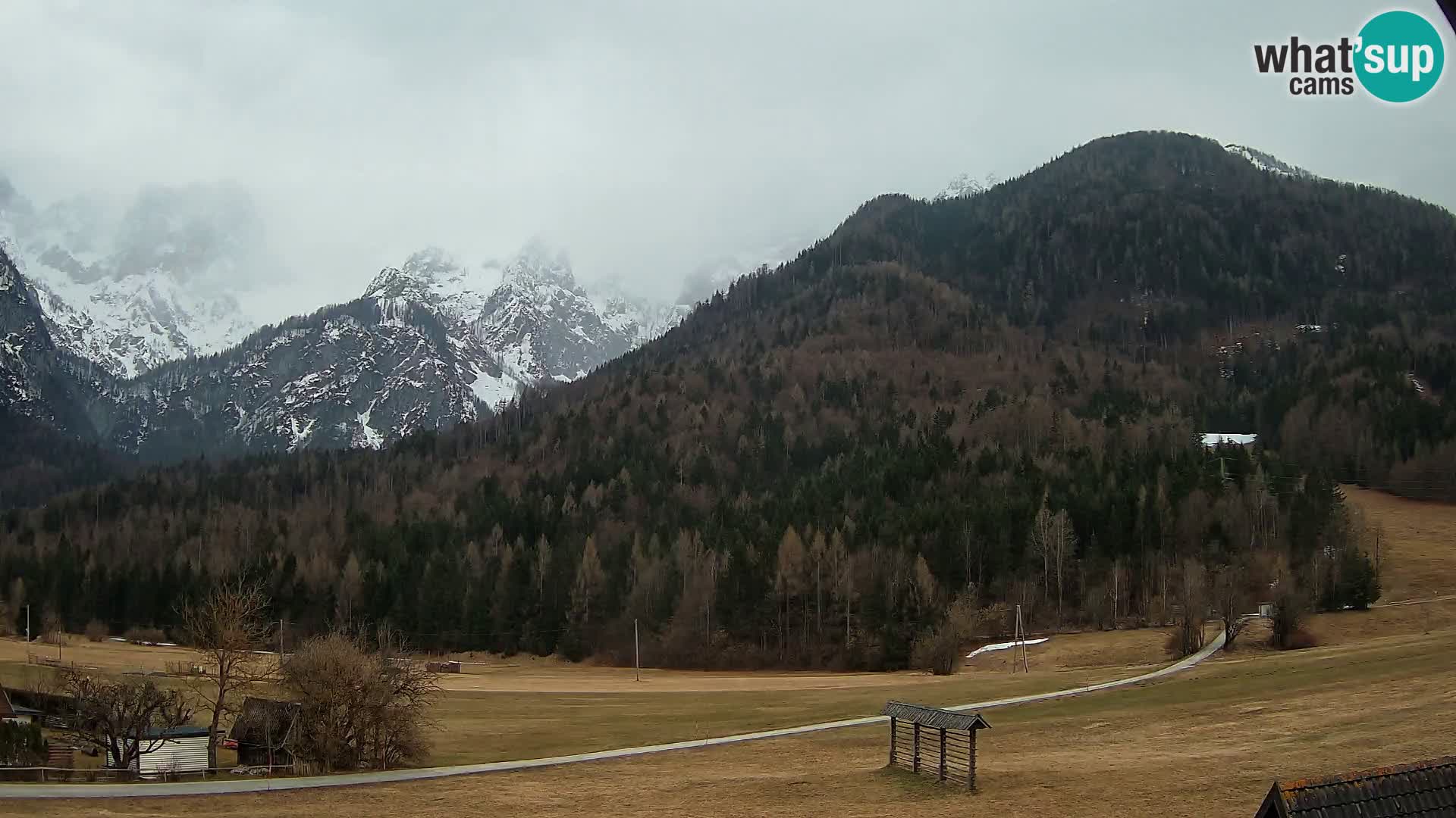 Gozd Martuljek – Špik Mountain Group