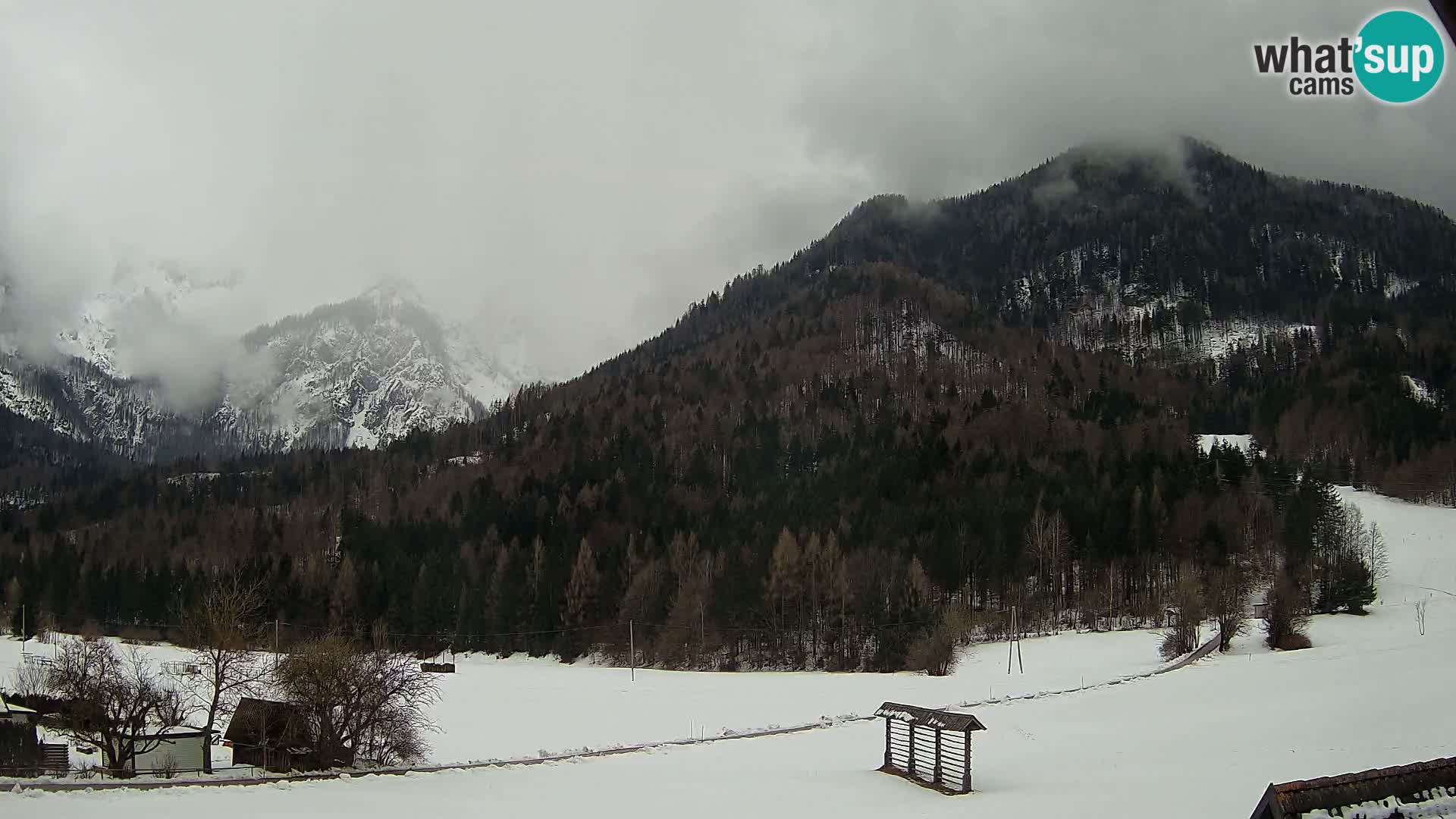 Gozd Martuljek – Špik Mountain Group