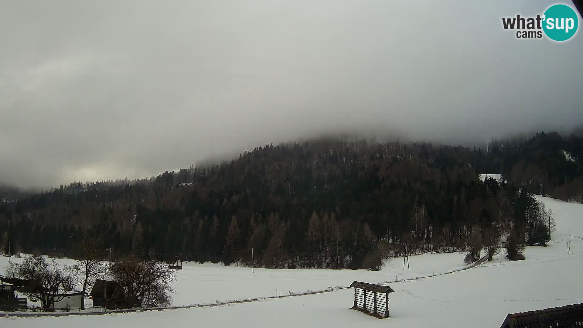 Gozd Martuljek – Špik Mountain Group