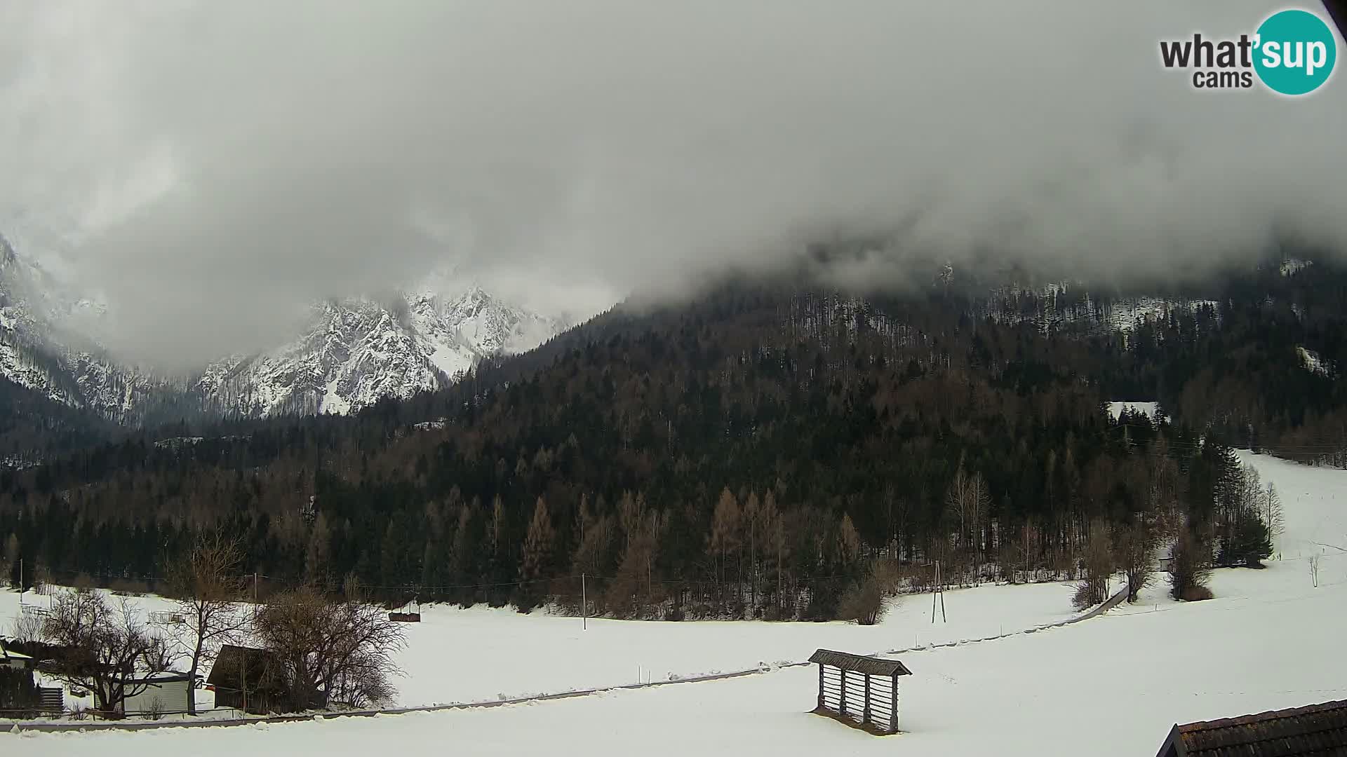 Gozd Martuljek – Špik Mountain Group