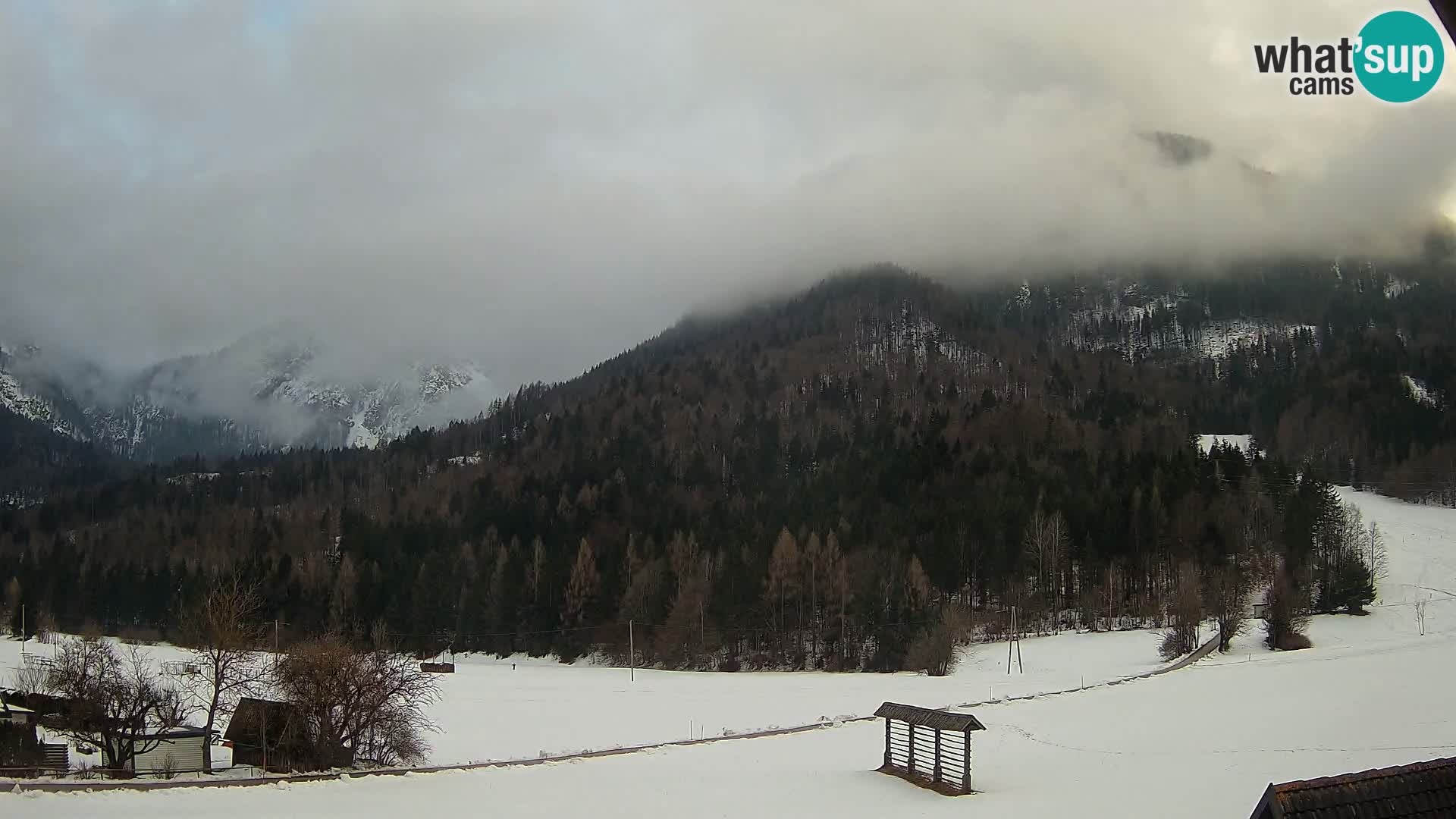 Gozd Martuljek – Špik Mountain Group