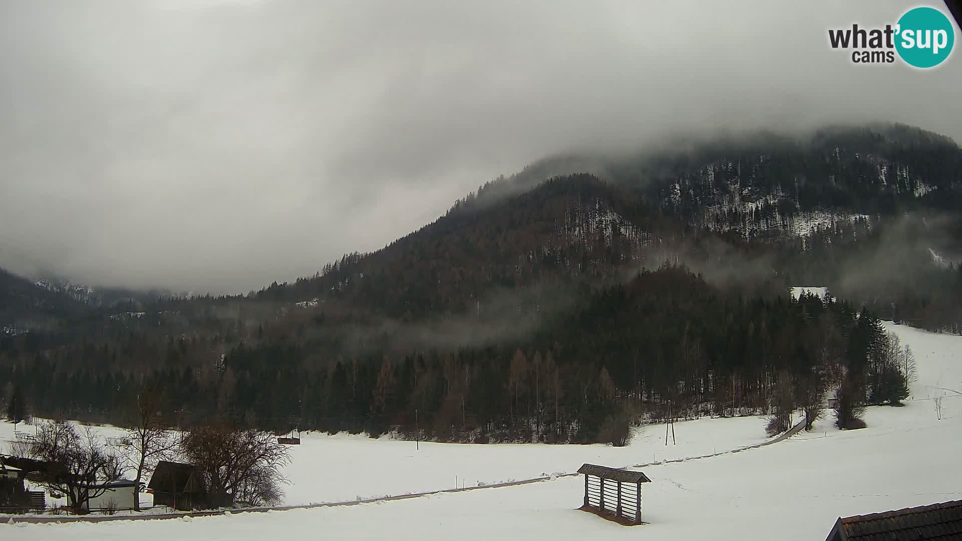 Gozd Martuljek – Špik Mountain Group