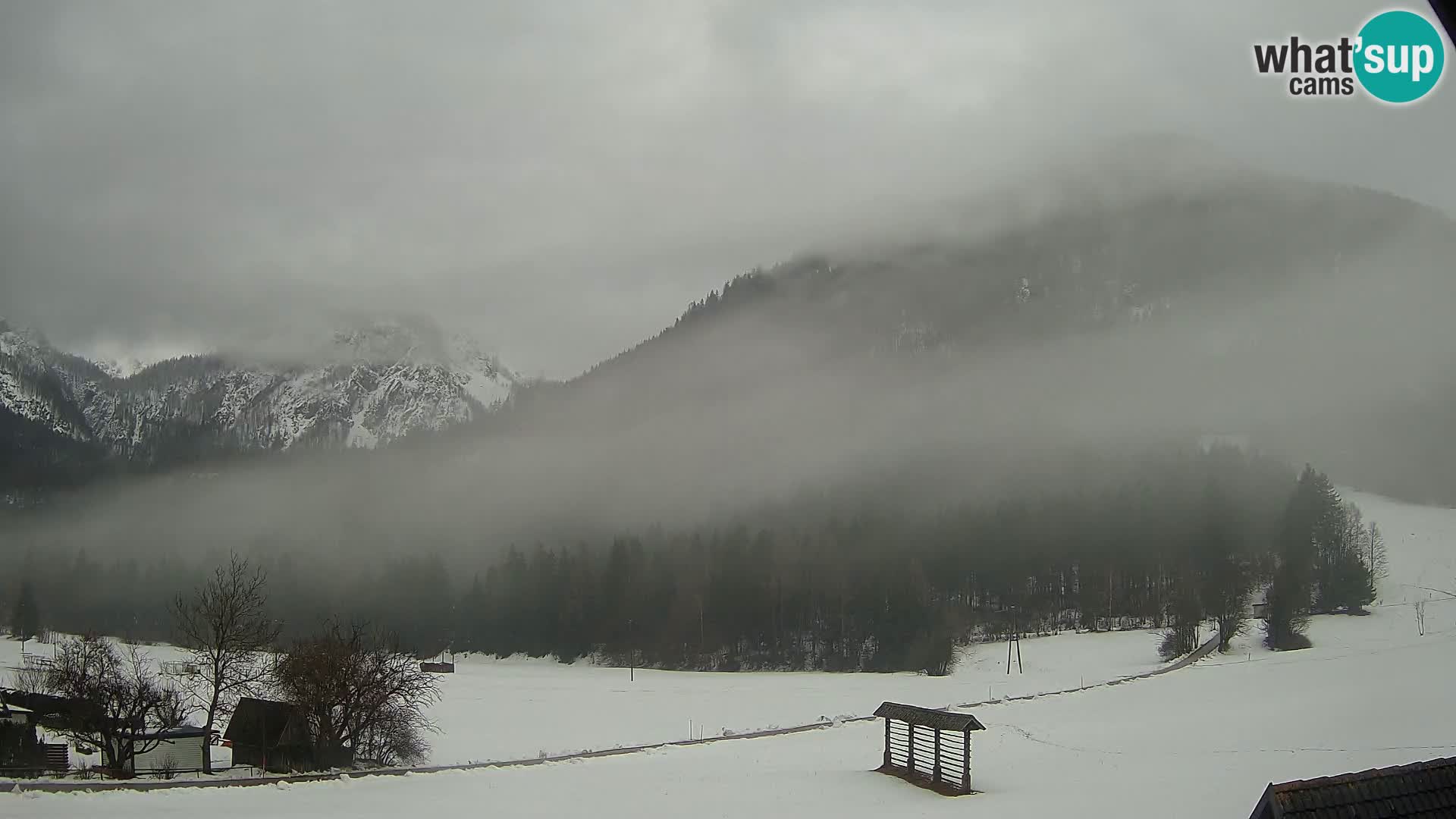 Gozd Martuljek –  planinski lanac Špik