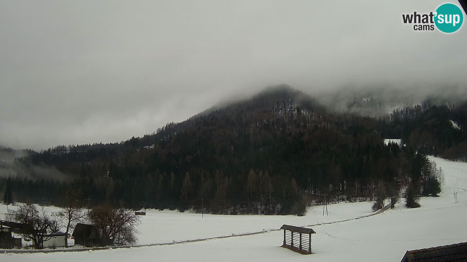 Gozd Martuljek –  planinski lanac Špik