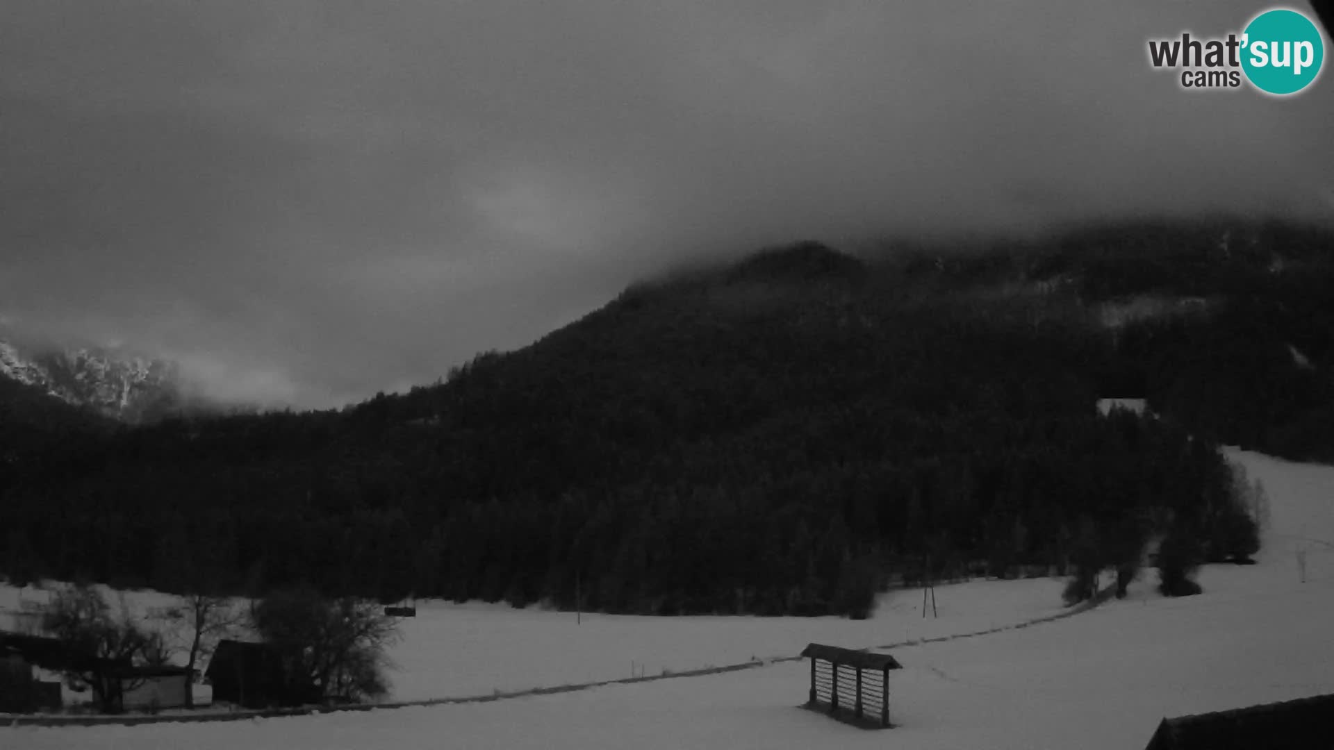 Gozd Martuljek –  planinski lanac Špik