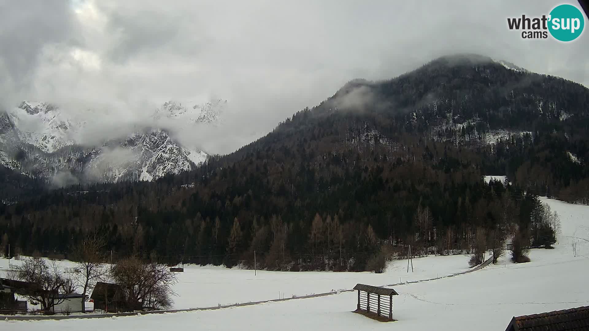 Gozd Martuljek – Špik Mountain Group