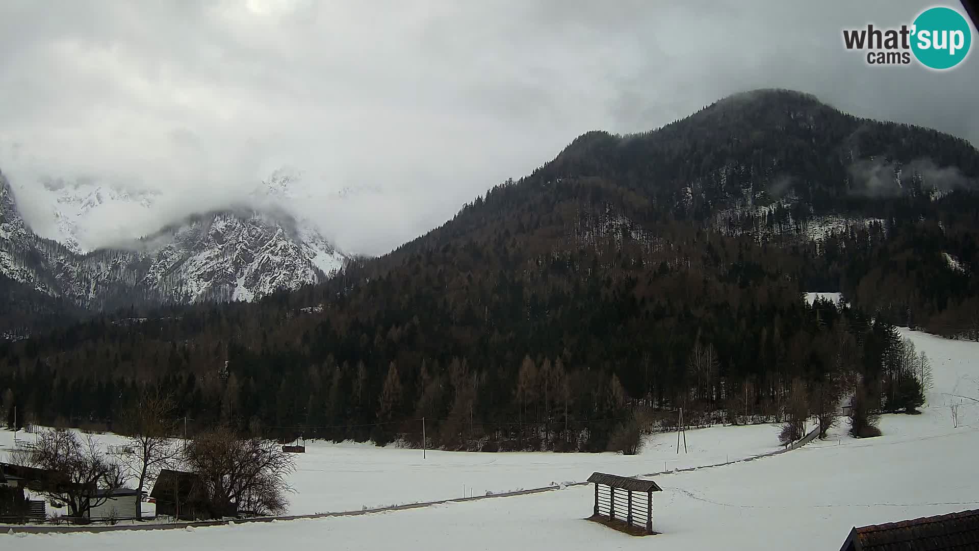 Gozd Martuljek –  planinski lanac Špik