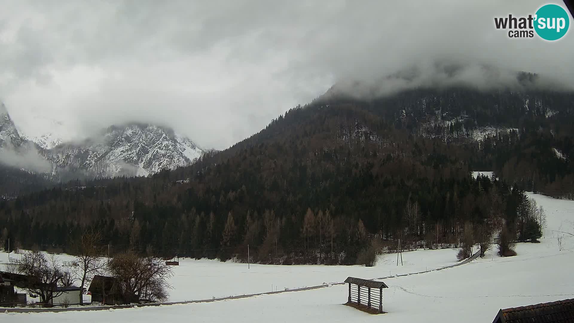 Gozd Martuljek – Špik Mountain Group