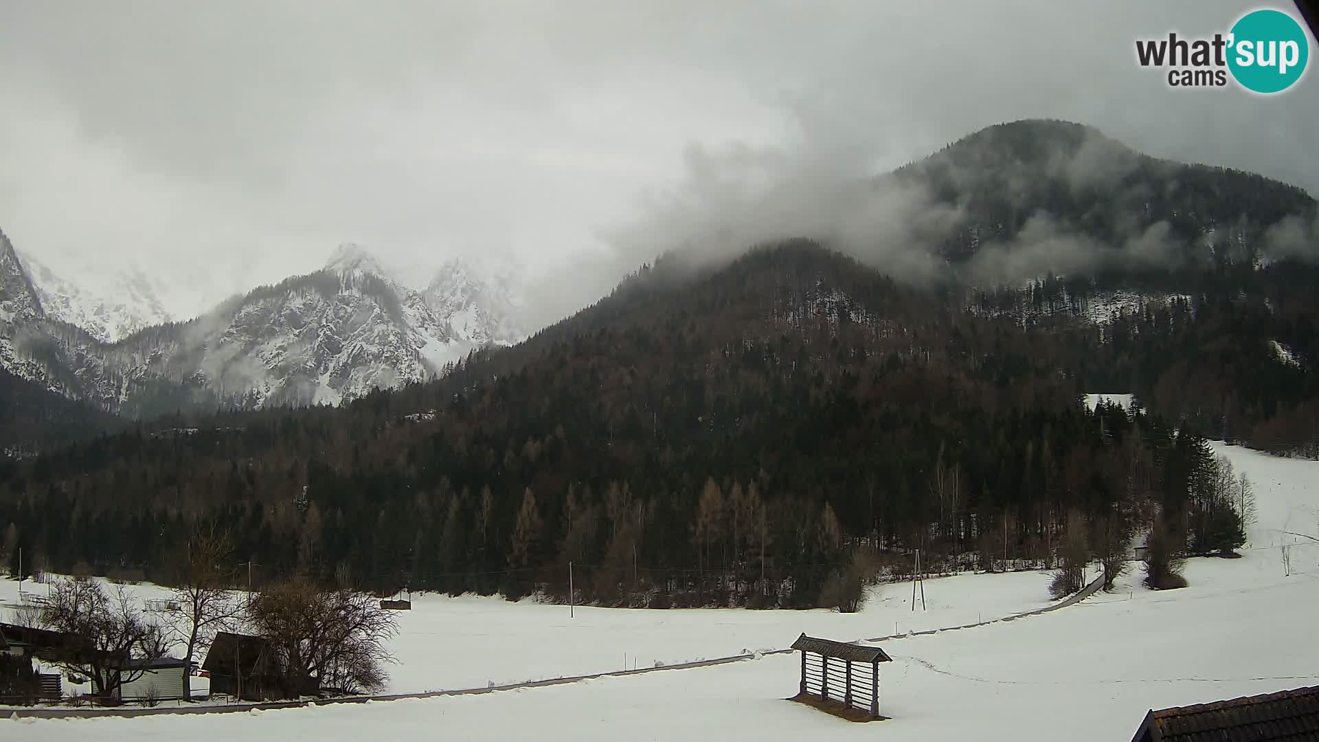 Gozd Martuljek – Špikova skupina