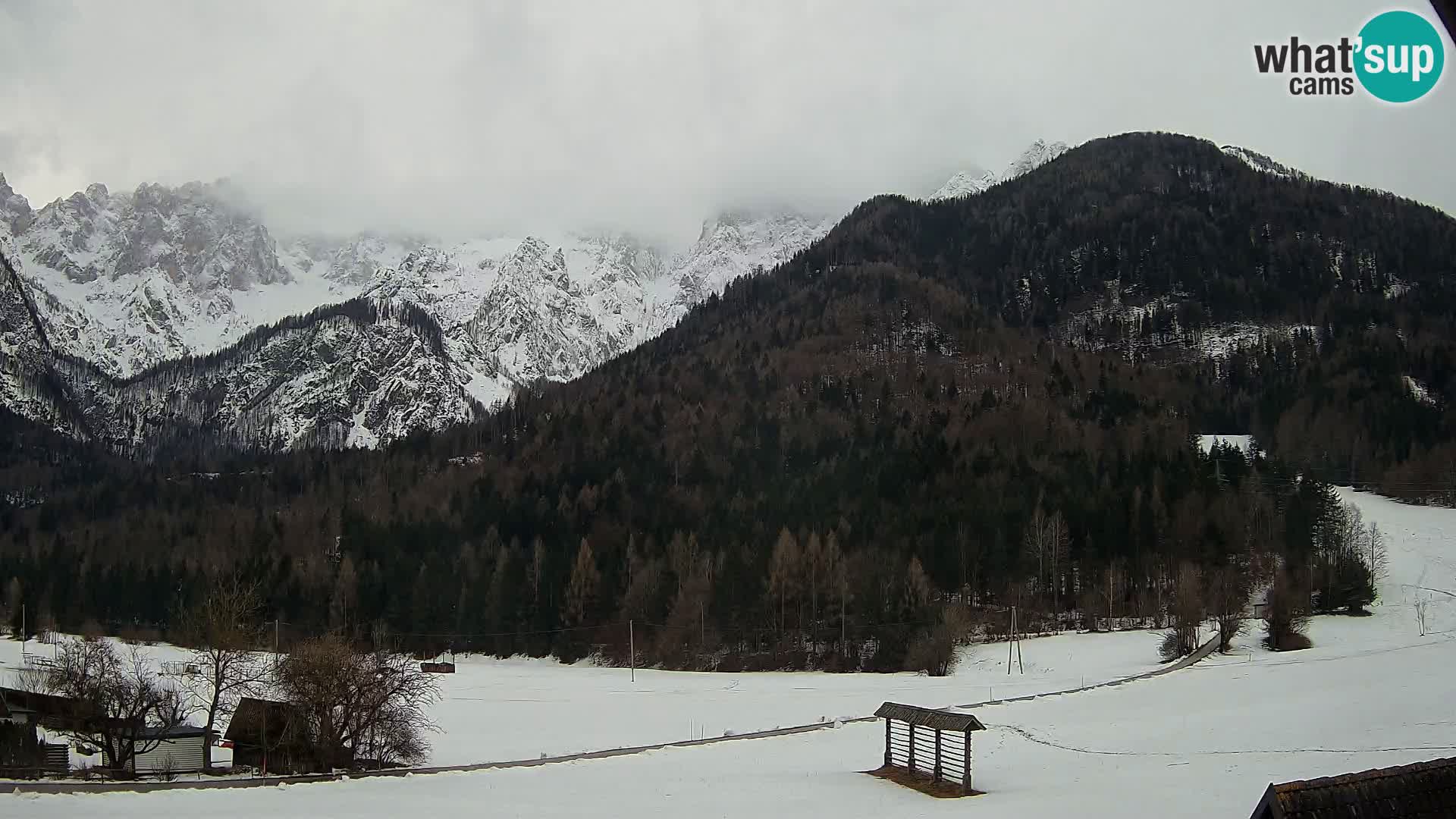 Gozd Martuljek – Špik Mountain Group