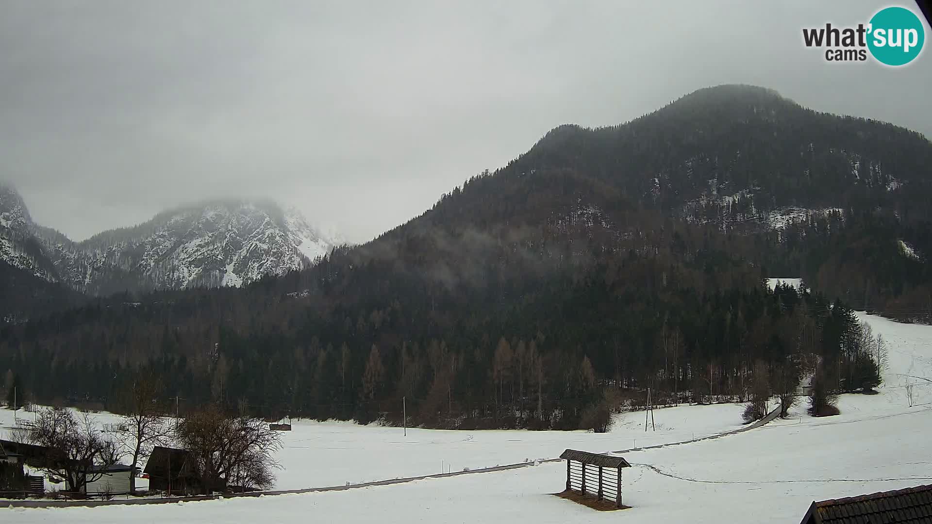 Gozd Martuljek – Špikova skupina