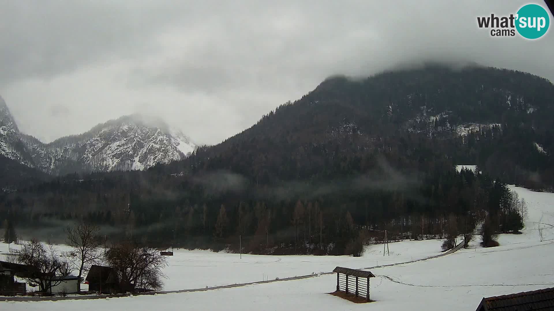 Gozd Martuljek – Špikova skupina