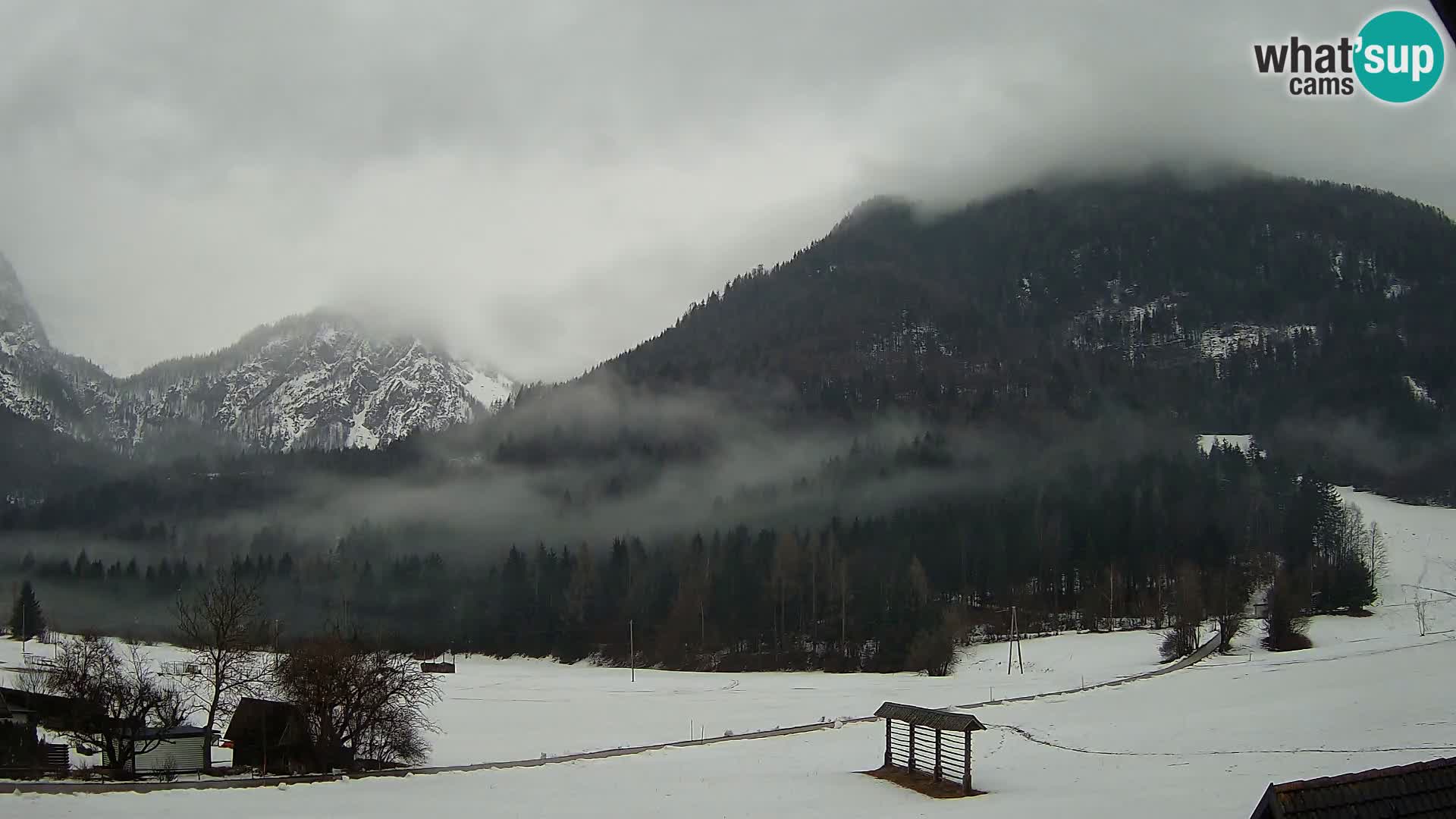 Gozd Martuljek – Špik Mountain Group