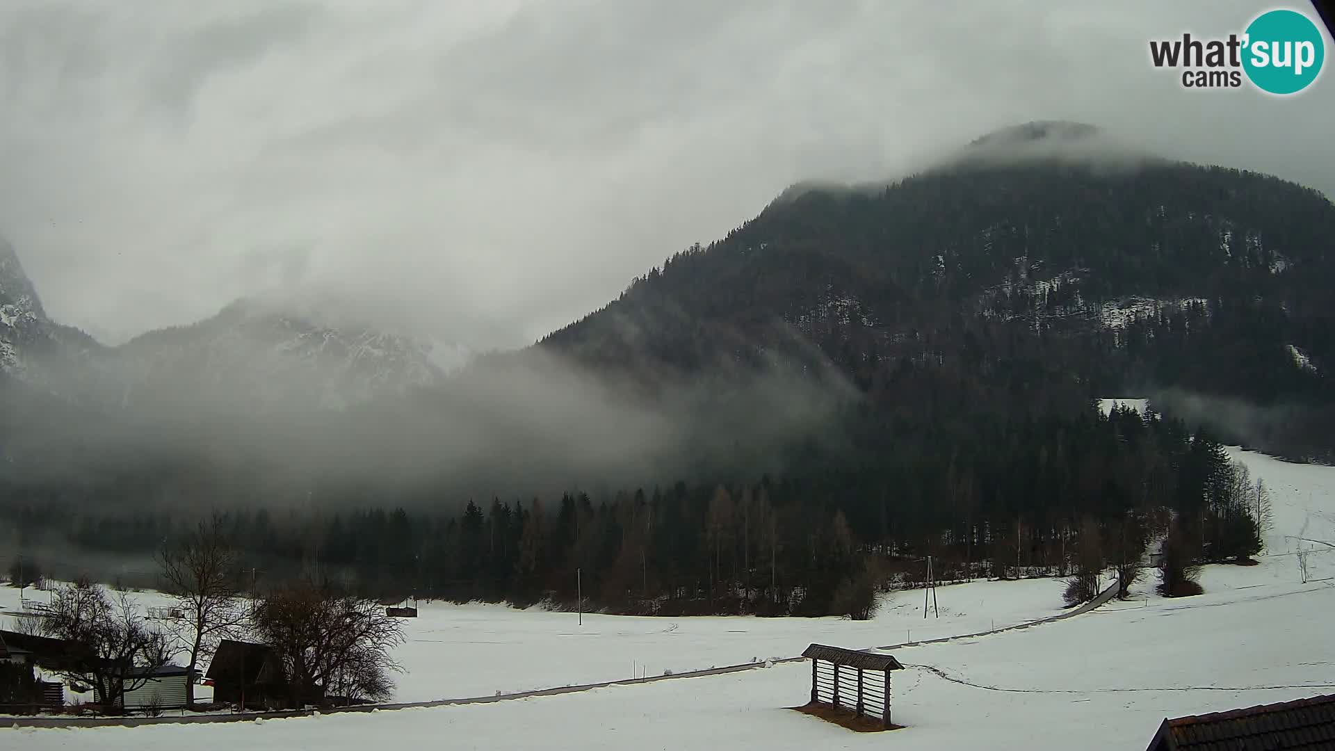 Gozd Martuljek – Špik Mountain Group