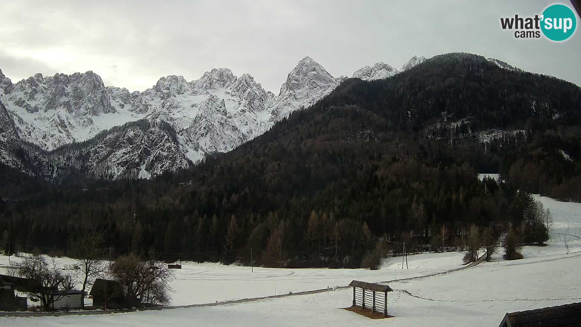 Gozd Martuljek – planinski lanac Špik