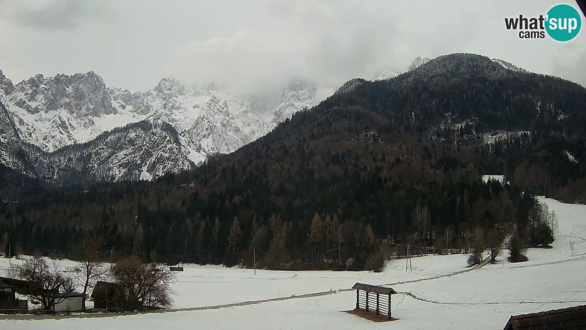 Gozd Martuljek – planinski lanac Špik