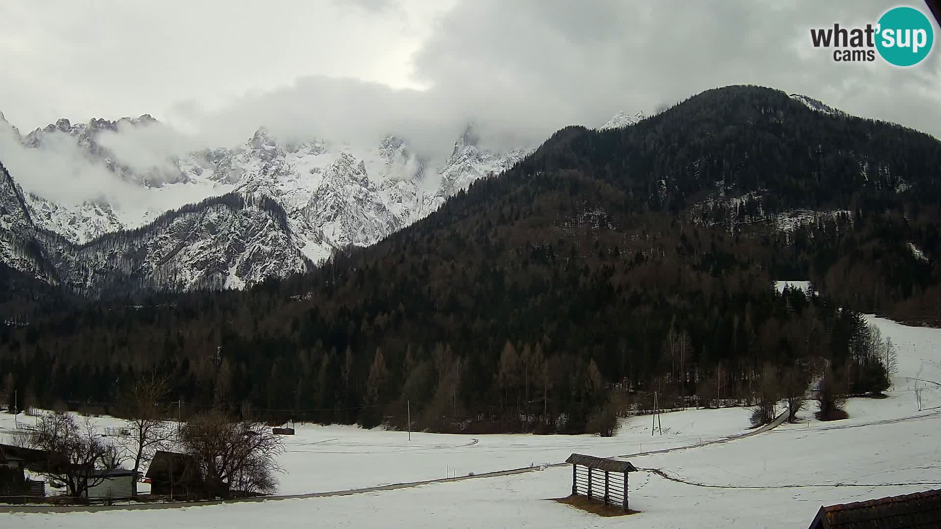 Gozd Martuljek – Špikova skupina