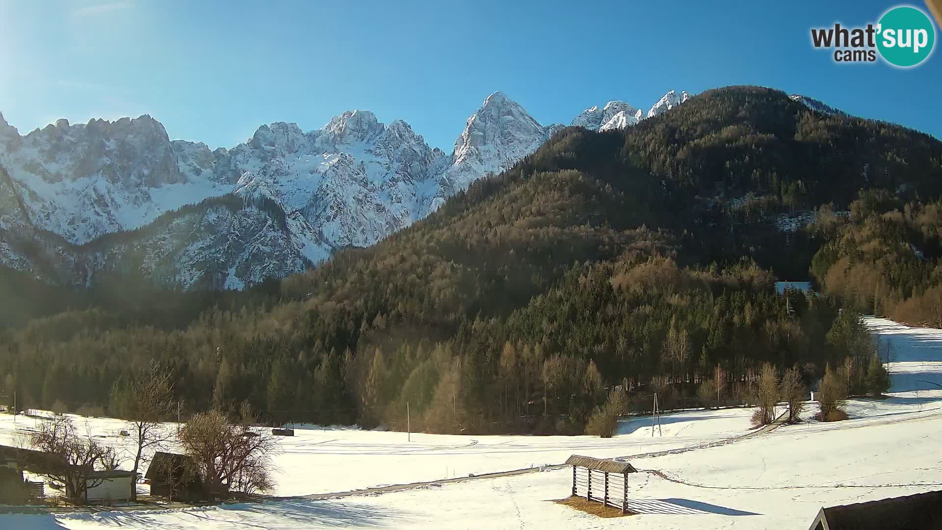 Gozd Martuljek – Špikova skupina