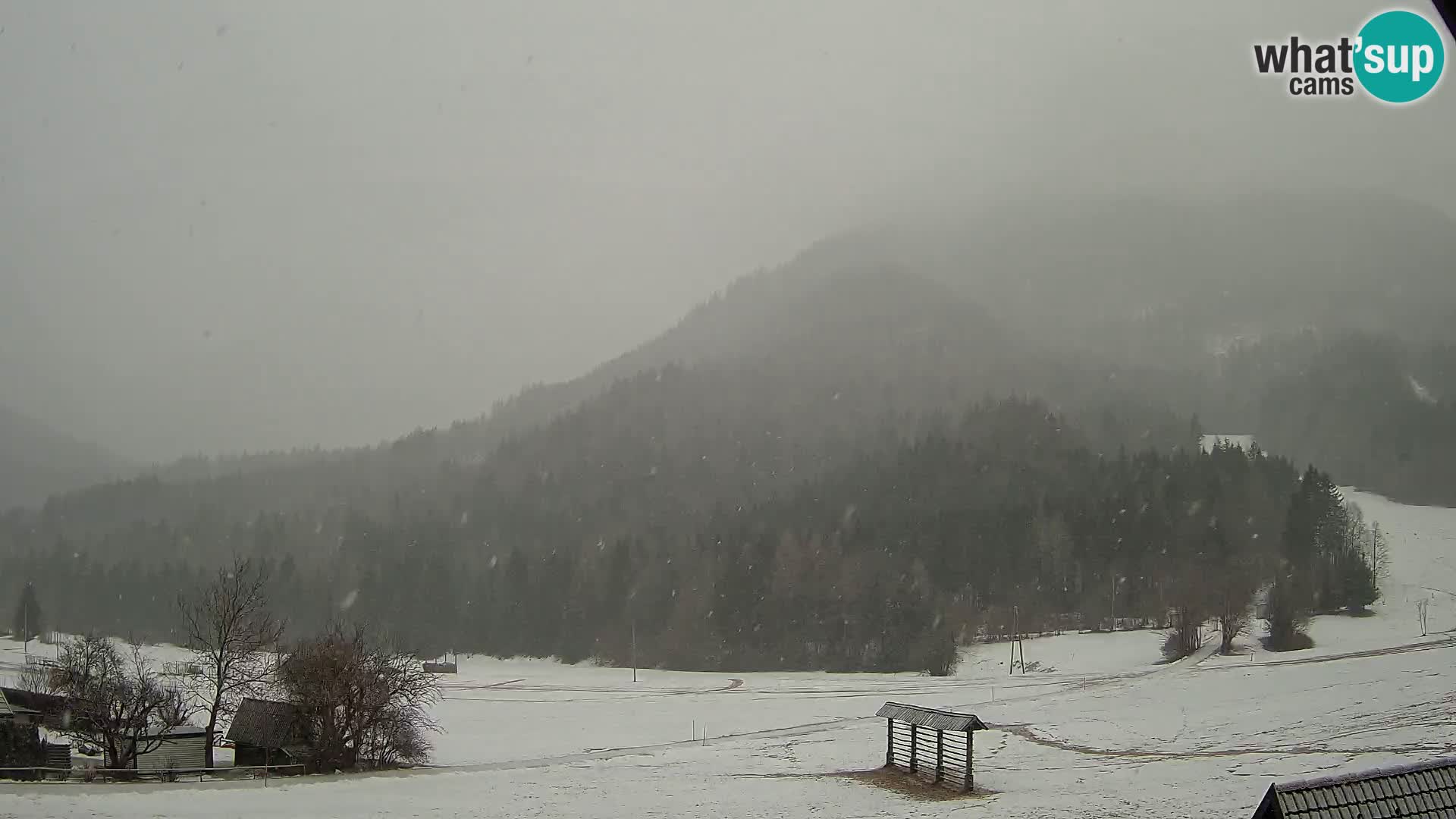 Gozd Martuljek – el grupo Špik