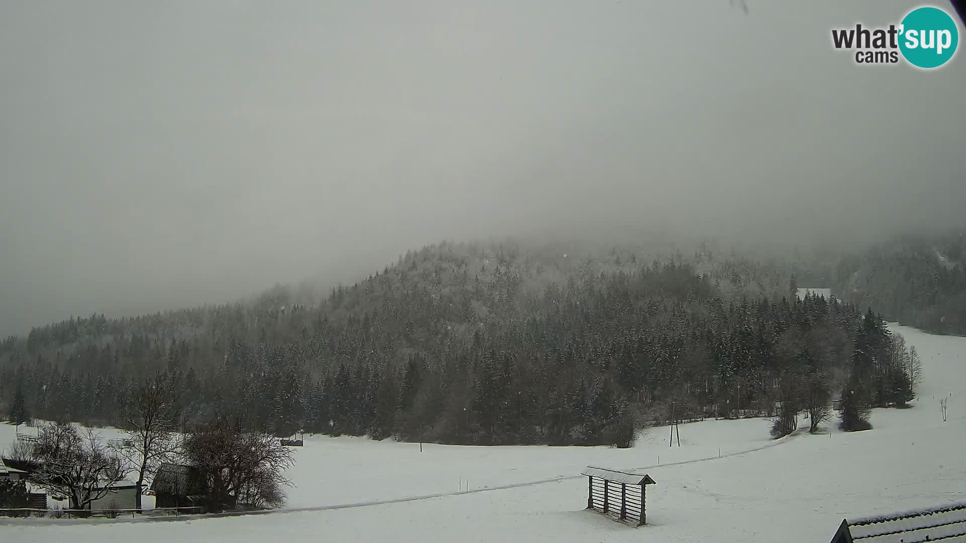 Gozd Martuljek – Špikova skupina