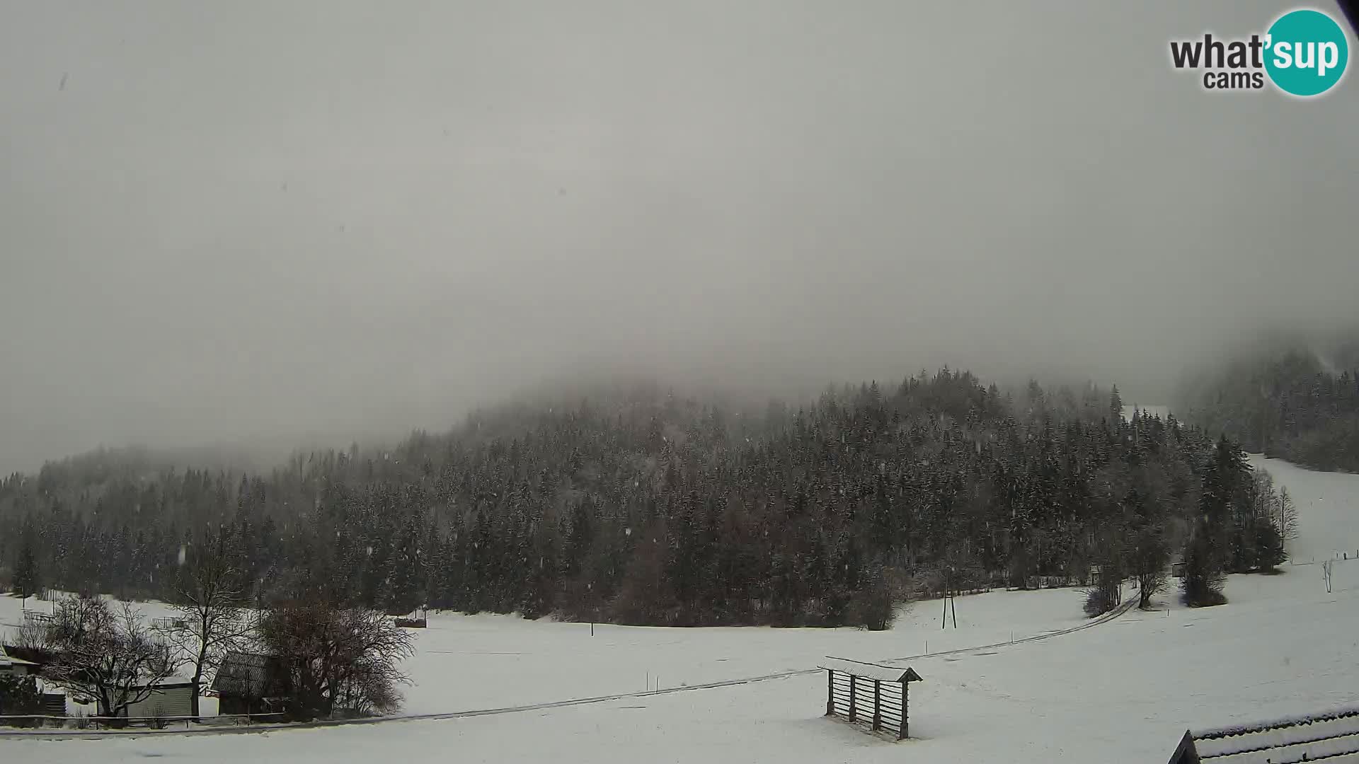 Gozd Martuljek – Špikova skupina