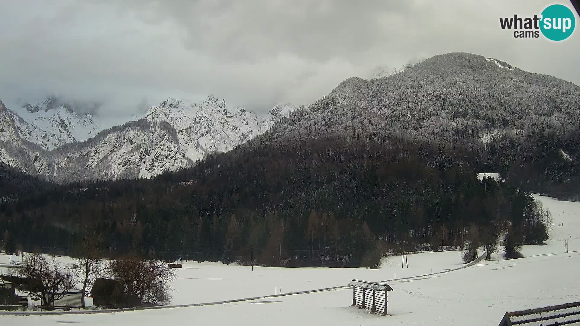 Gozd Martuljek – Špikova skupina