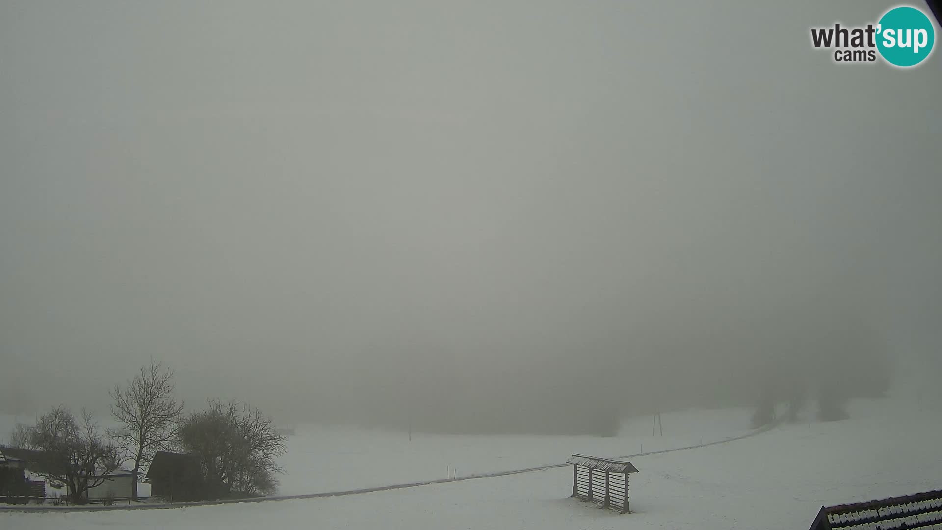 Gozd Martuljek –  planinski lanac Špik