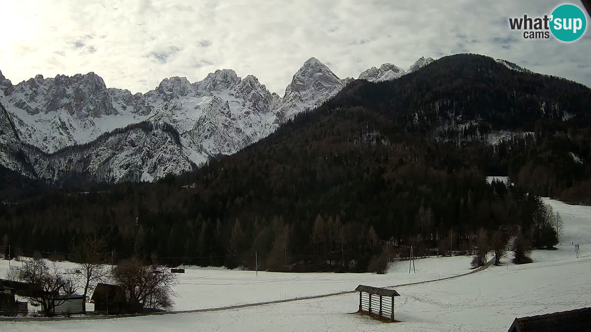 Gozd Martuljek – Špik Mountain Group