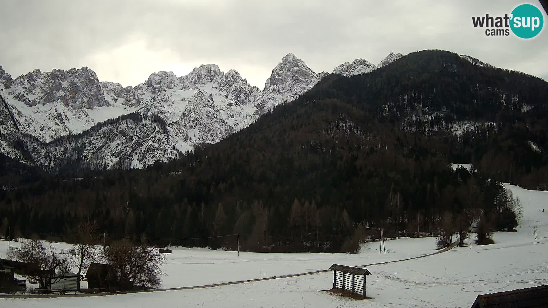 Gozd Martuljek – Špik Mountain Group