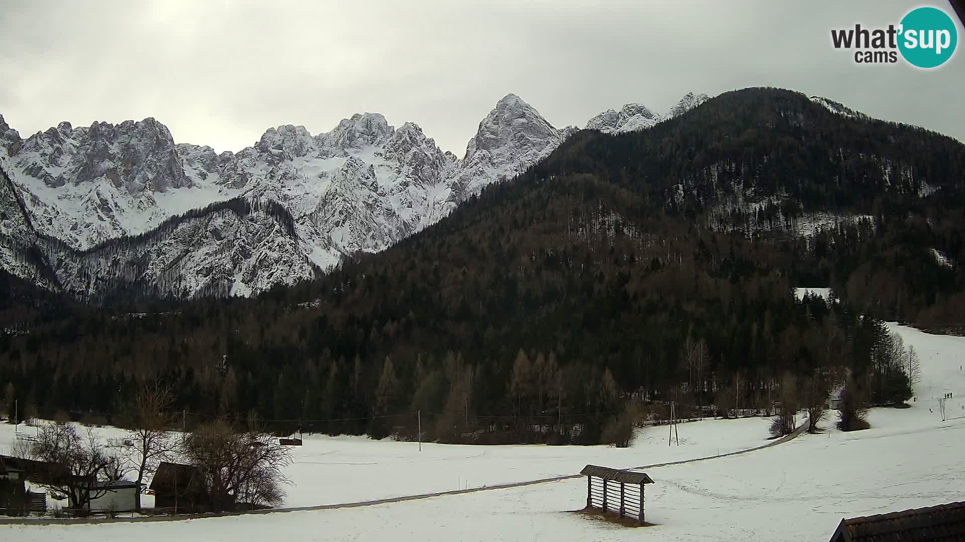 Gozd Martuljek – Špik Mountain Group