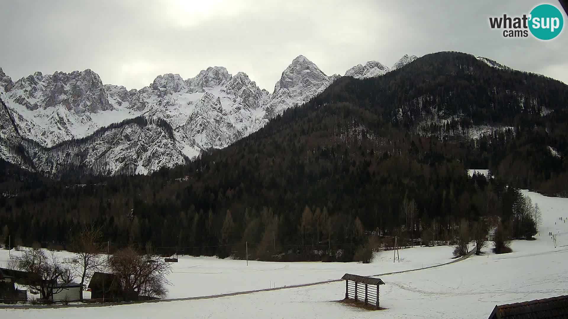 Gozd Martuljek – Špik Mountain Group