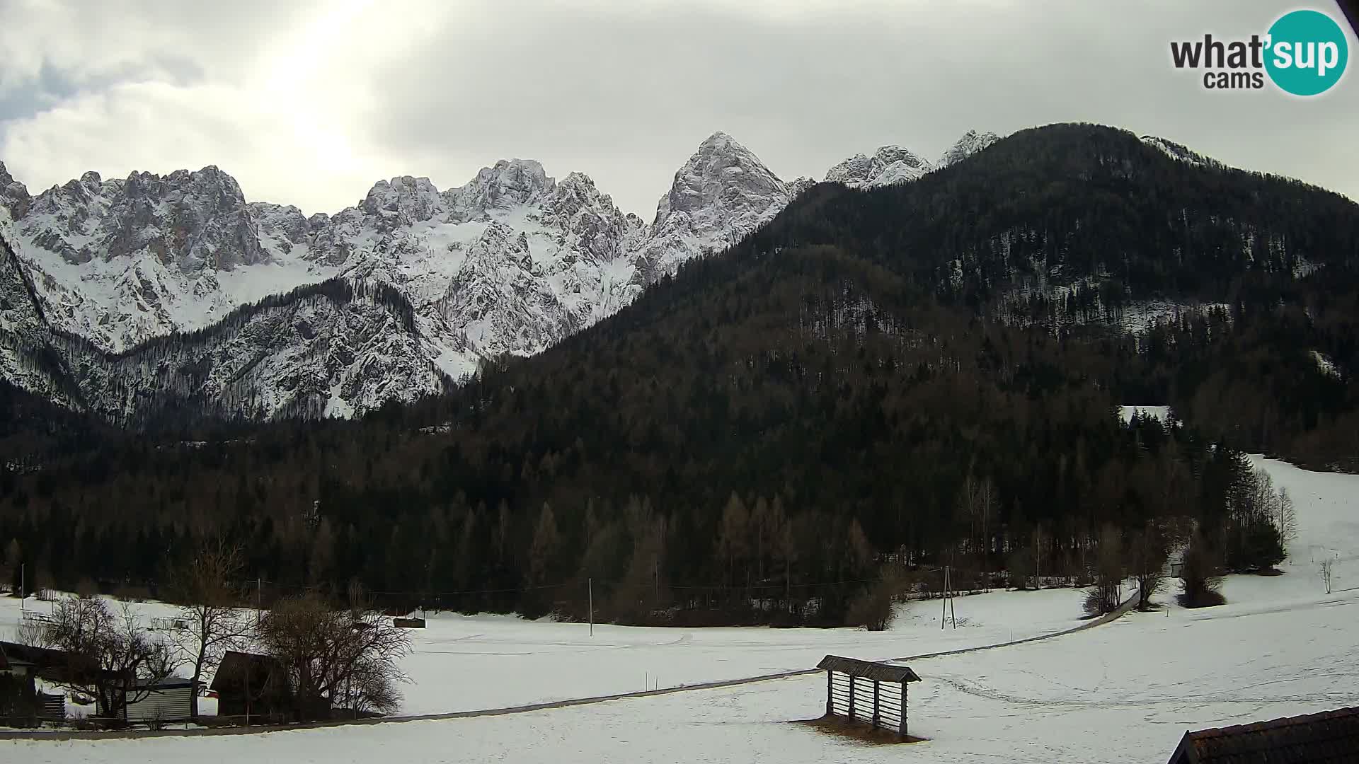 Gozd Martuljek – Špik Mountain Group