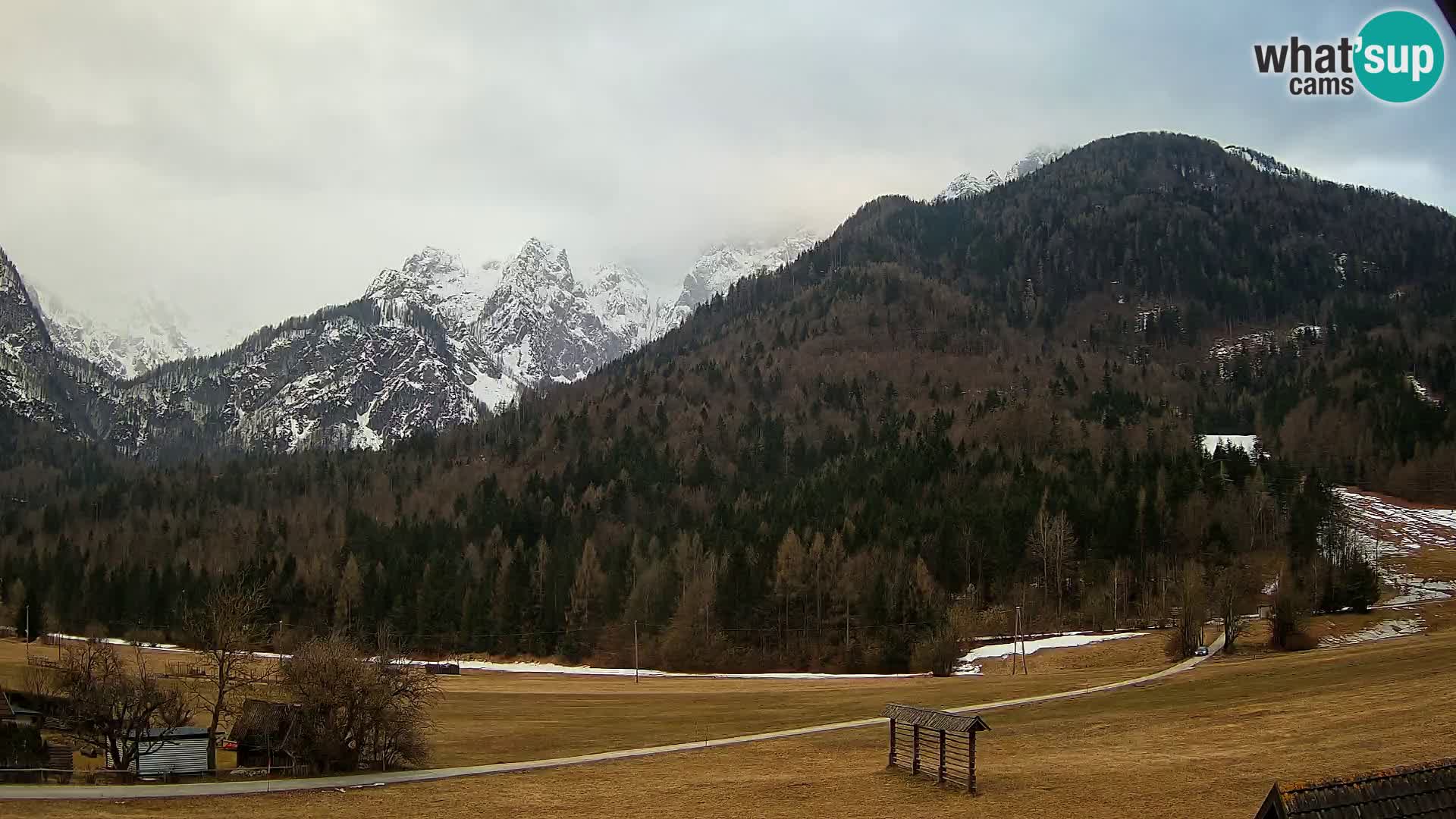 Gozd Martuljek – Špikova skupina