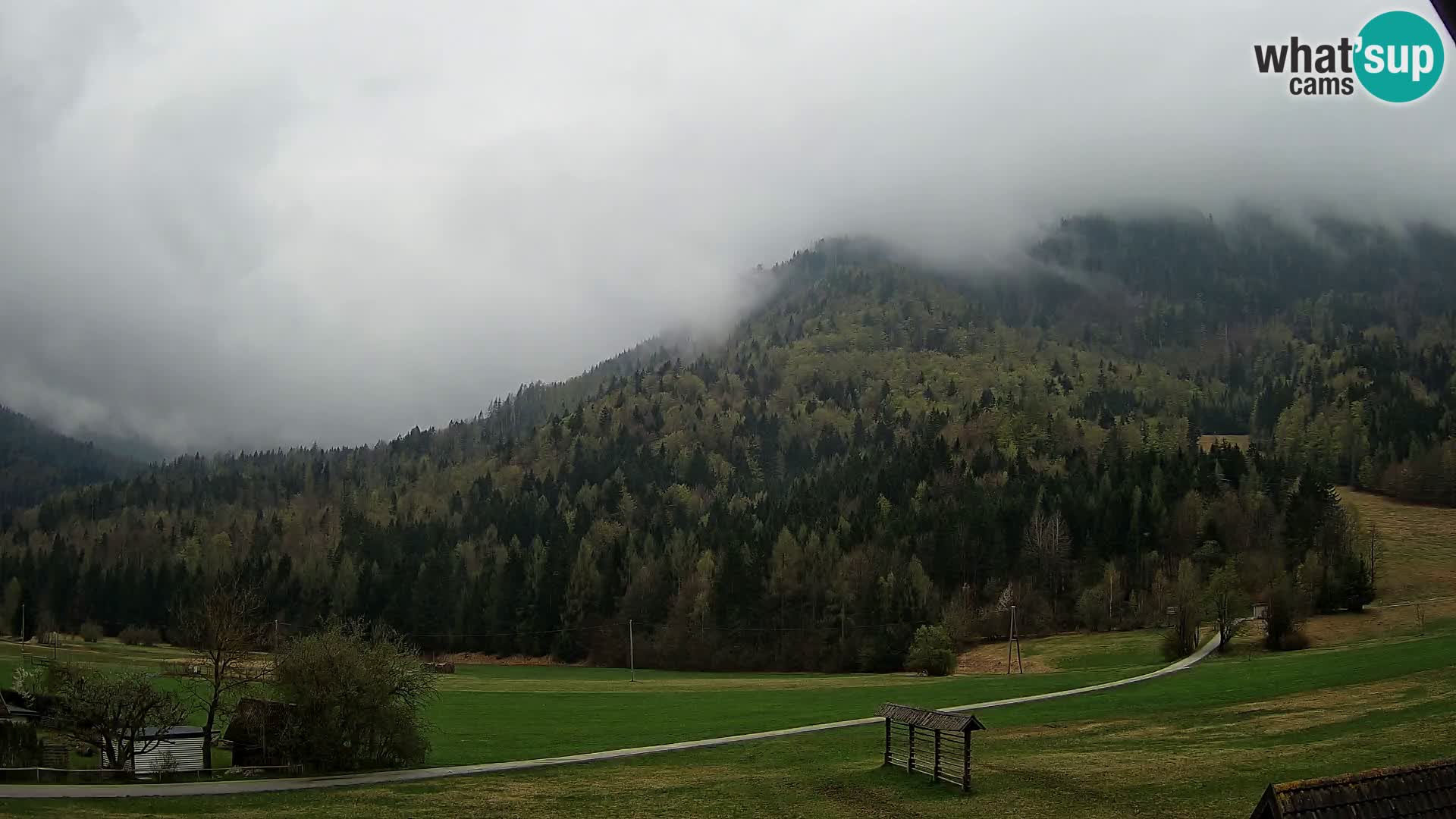 Gozd Martuljek – planinski lanac Špik