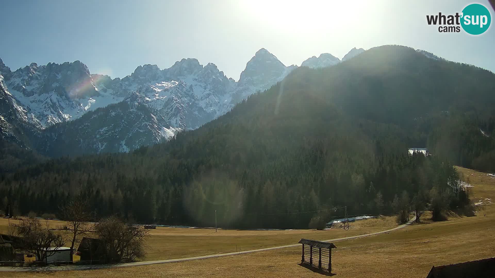 Gozd Martuljek – Špikova skupina