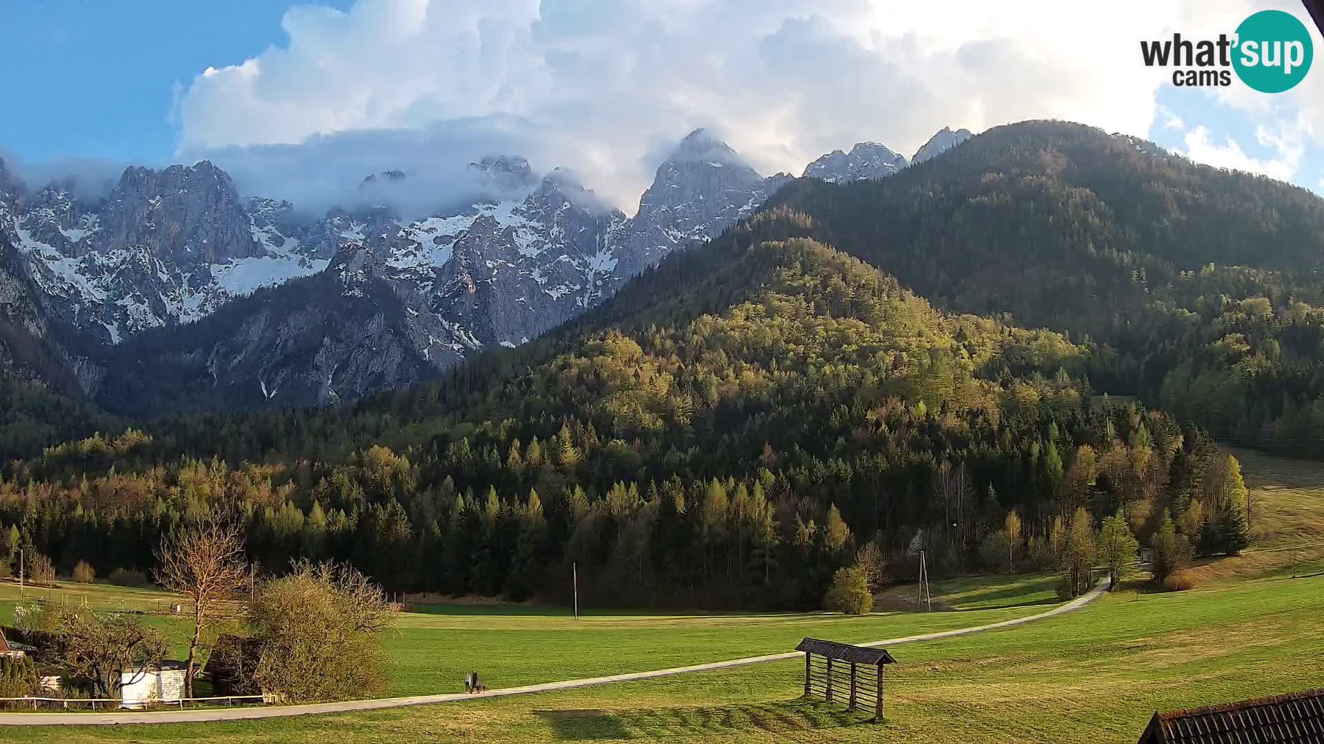 Gozd Martuljek – Špikova skupina
