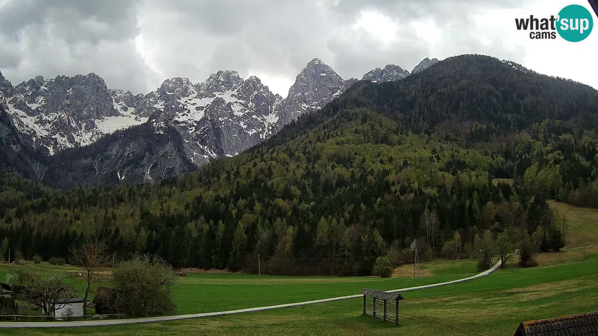 Gozd Martuljek – planinski lanac Špik