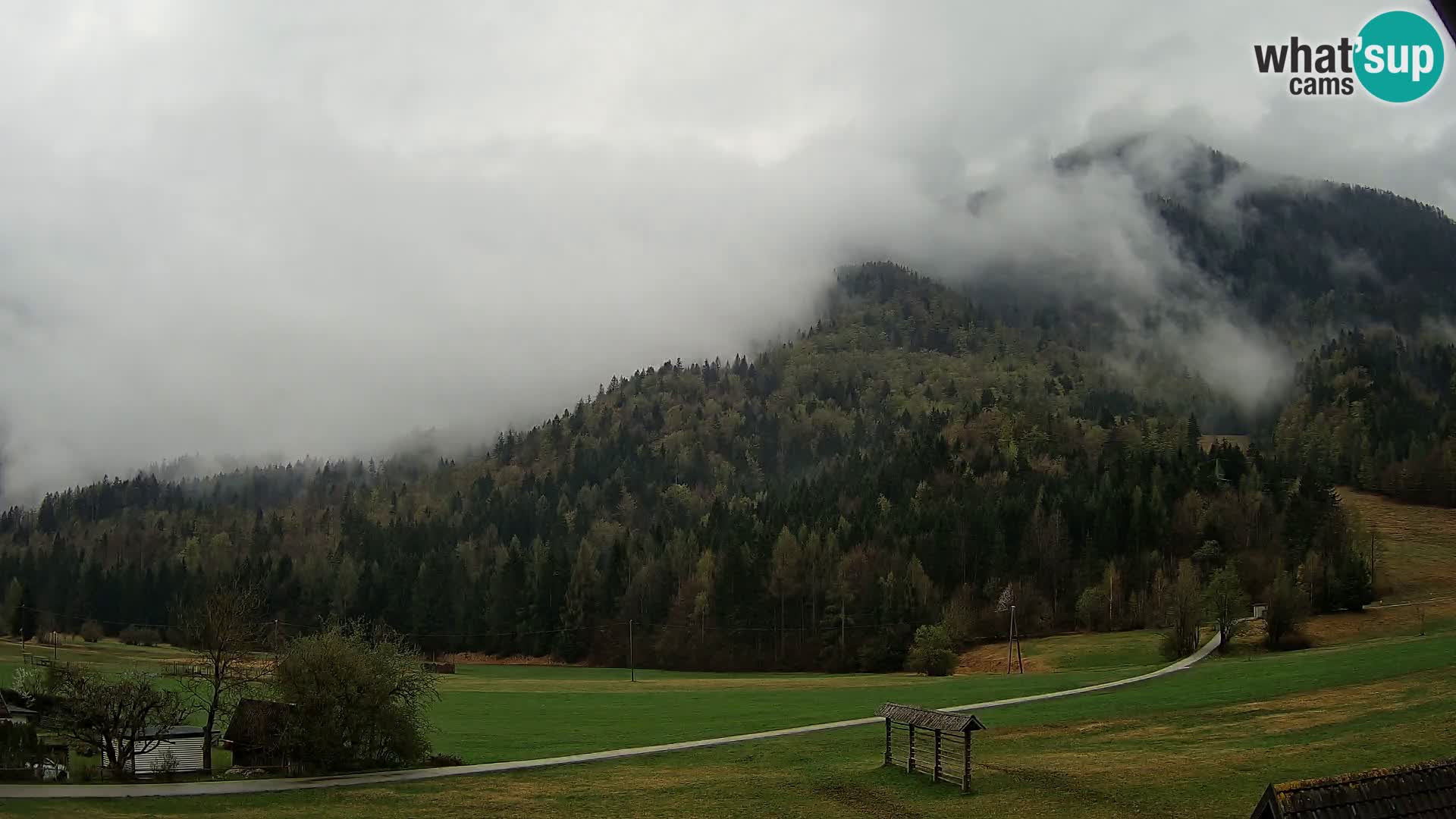 Gozd Martuljek – Špikova skupina