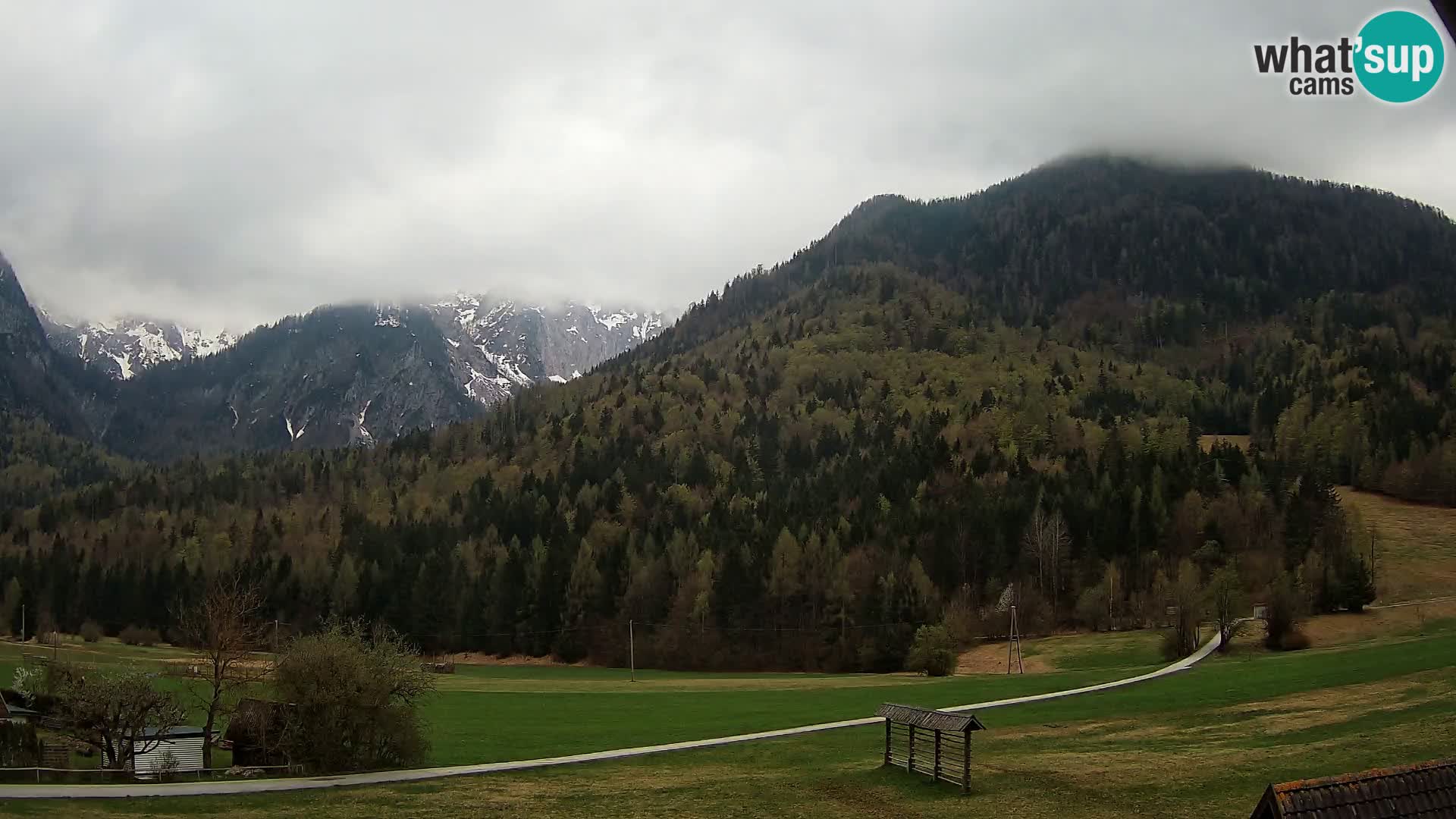 Gozd Martuljek – Špik Mountain Group